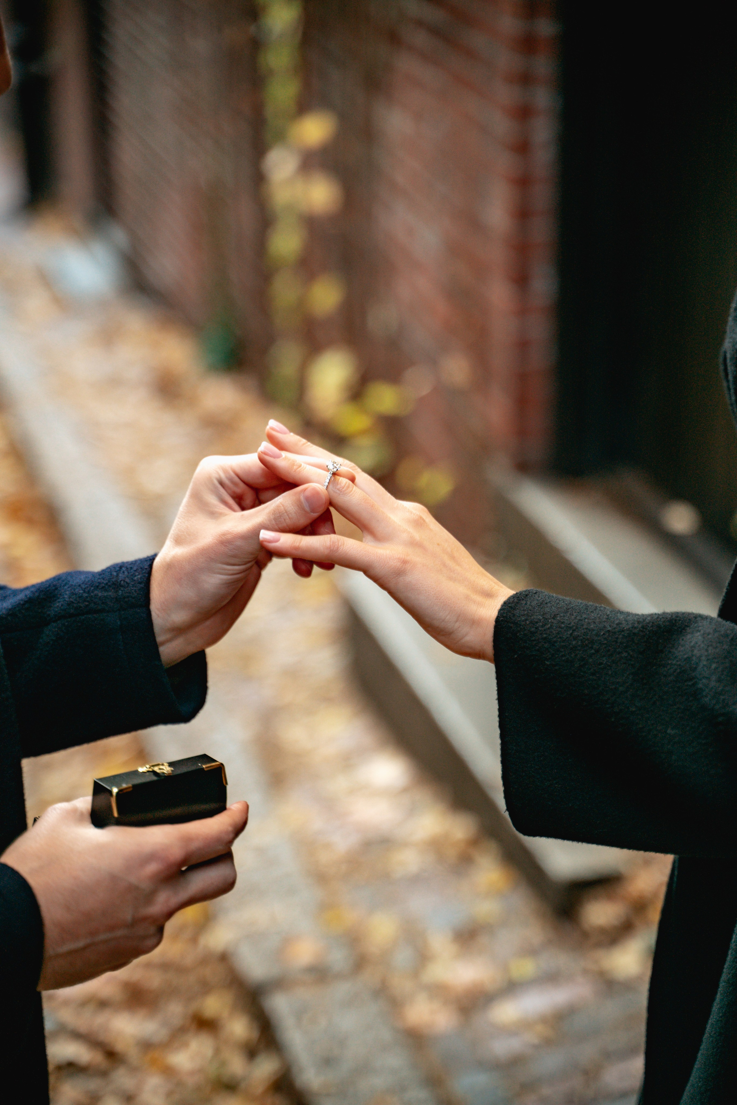Ryan and Monica at Boston Public Garden. Stefanovich Photography | Boston, MA