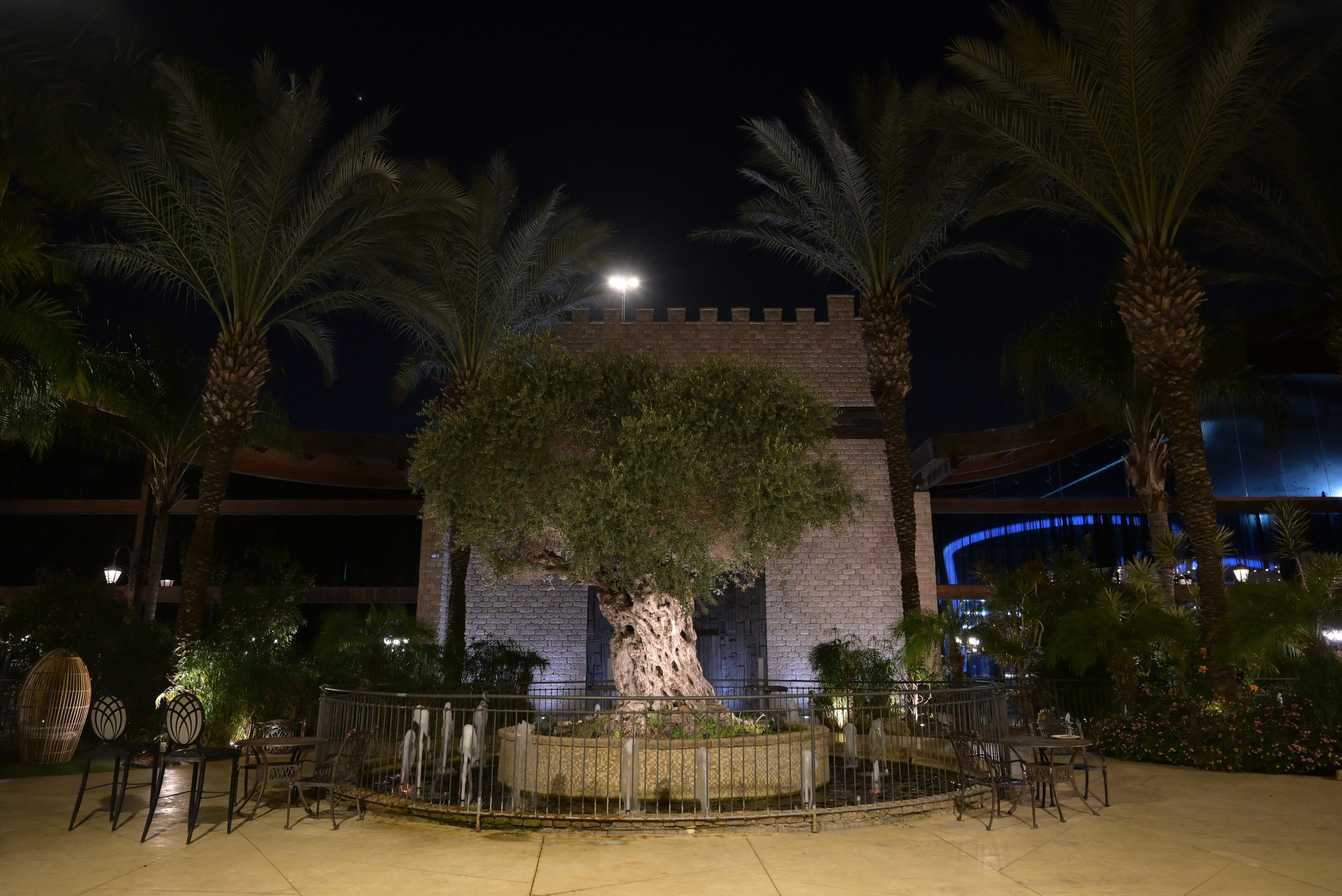 טרויה. Wedding and events photographers Studio Shalom