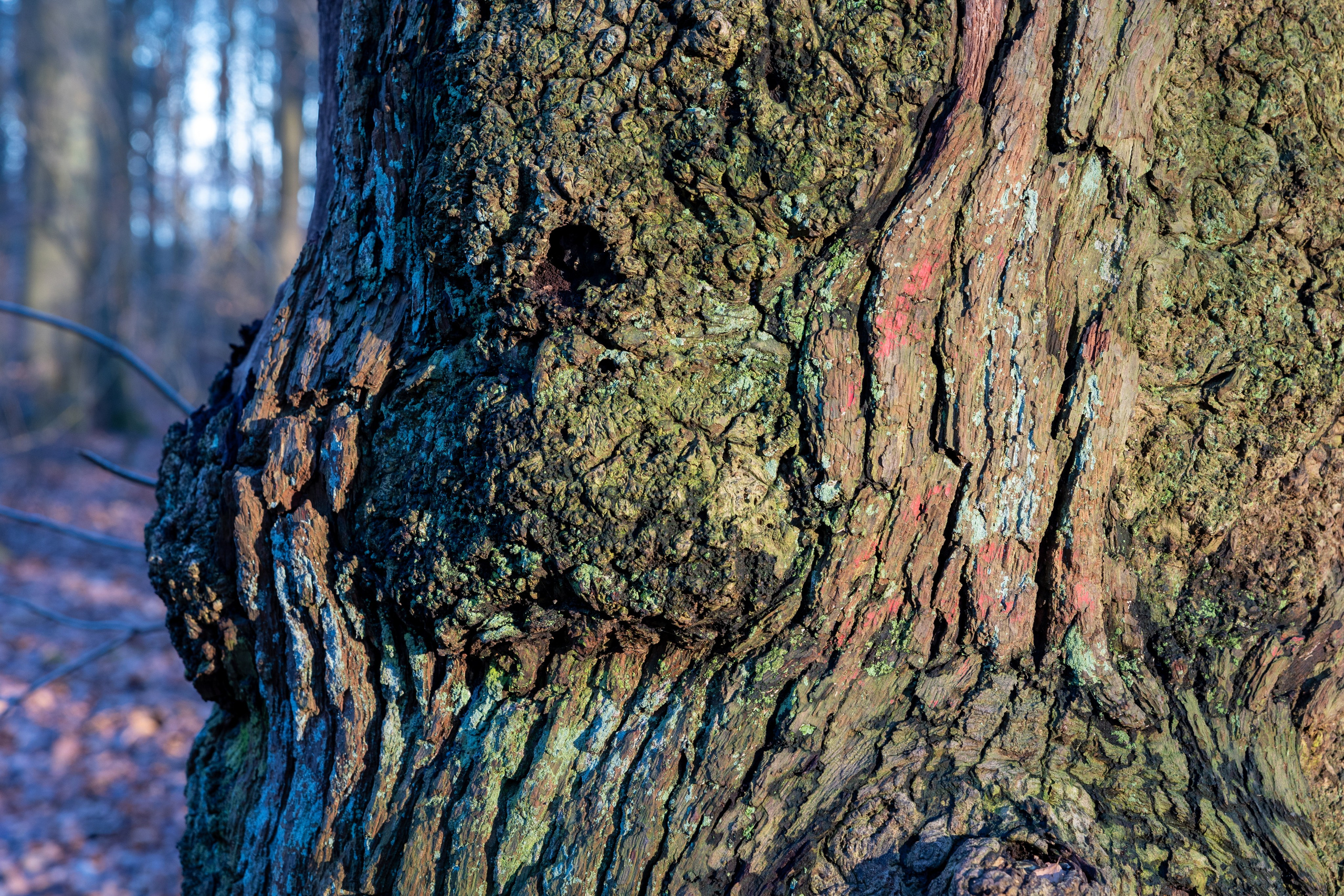 Forår. Fotograf Aarhus | Portrætfoto Århus | Flotte billeder