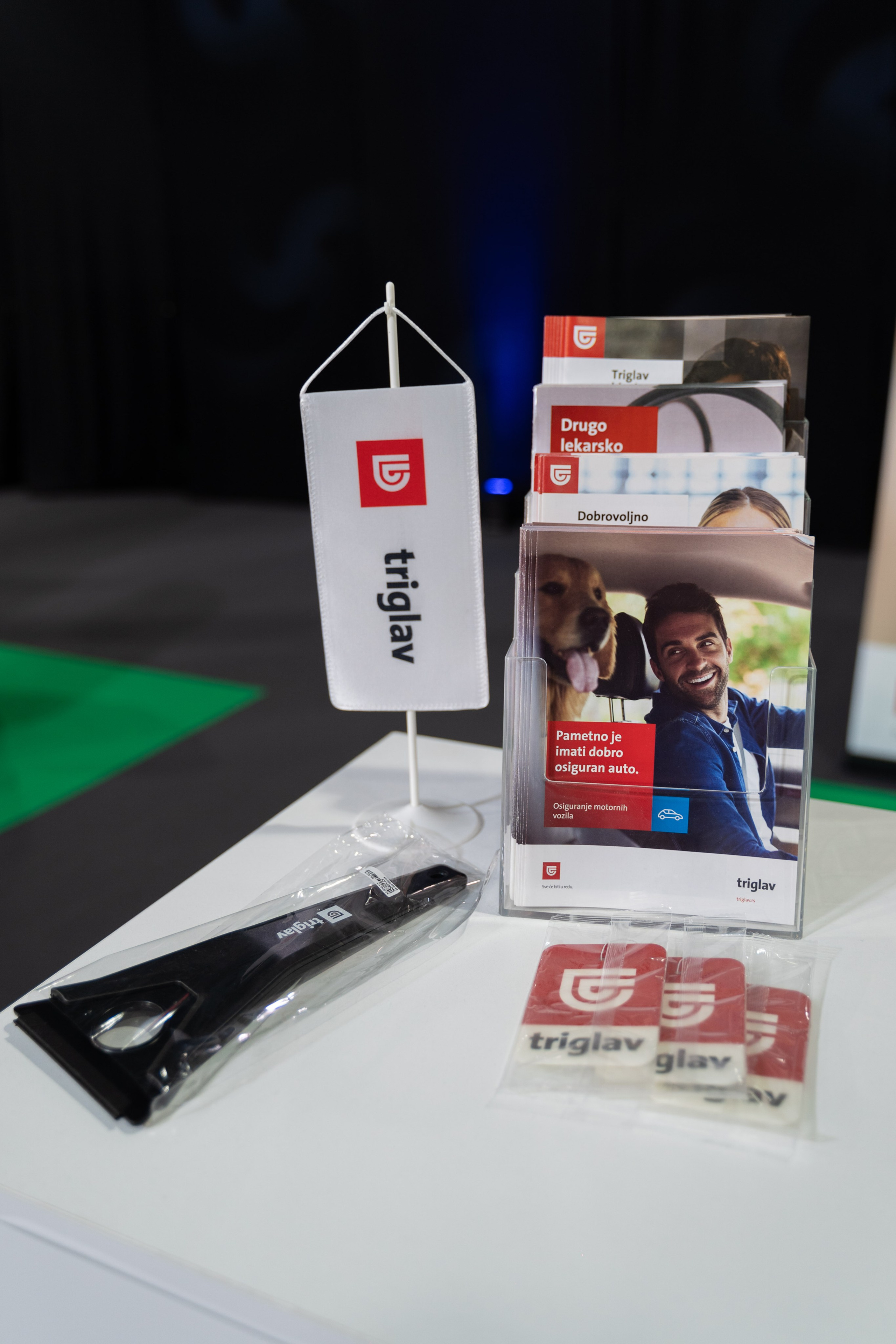 Electric Vehicles Days in Novi Sad 2024. Жуков Студио