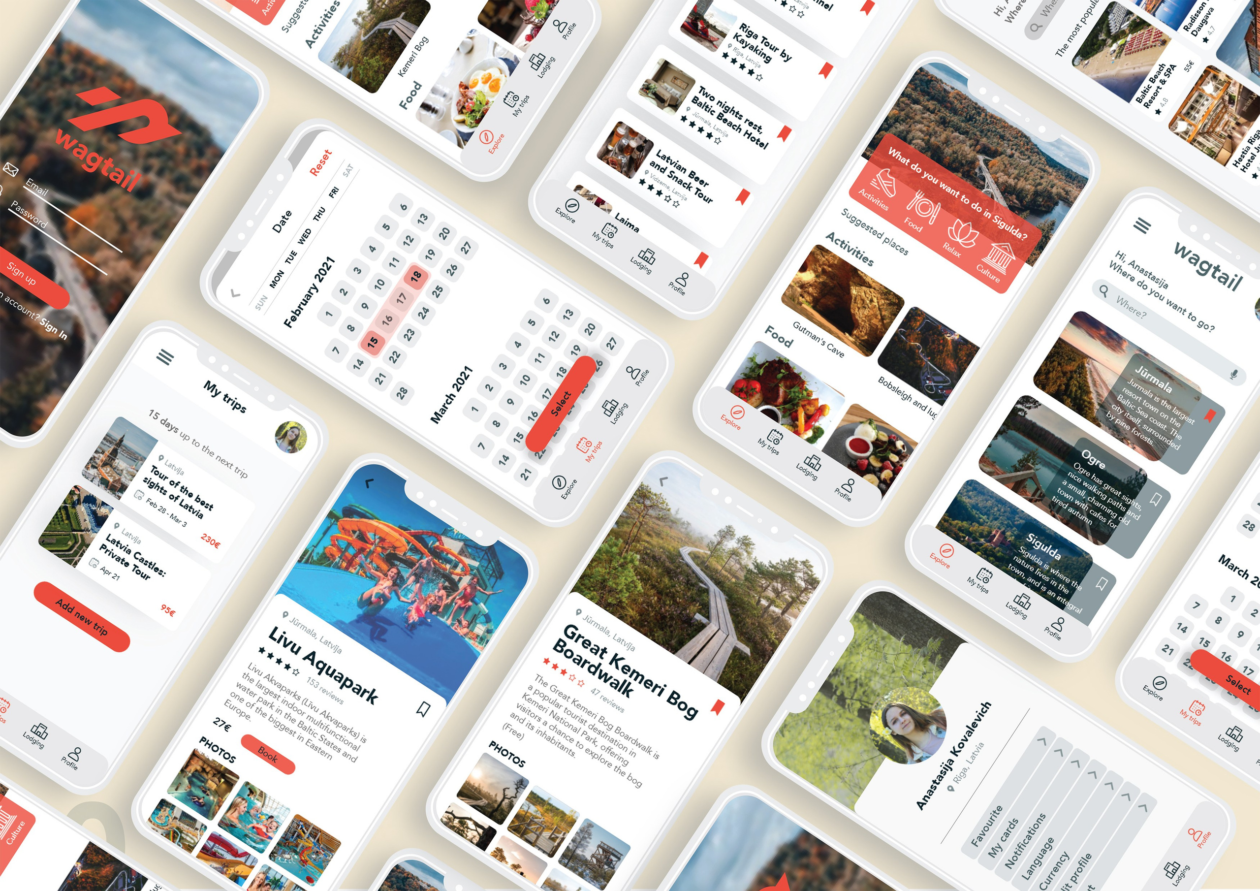 Wagtail Brand Identity & Mobile App design. ContentLab — визуальный контент для бизнеса |📍Рига