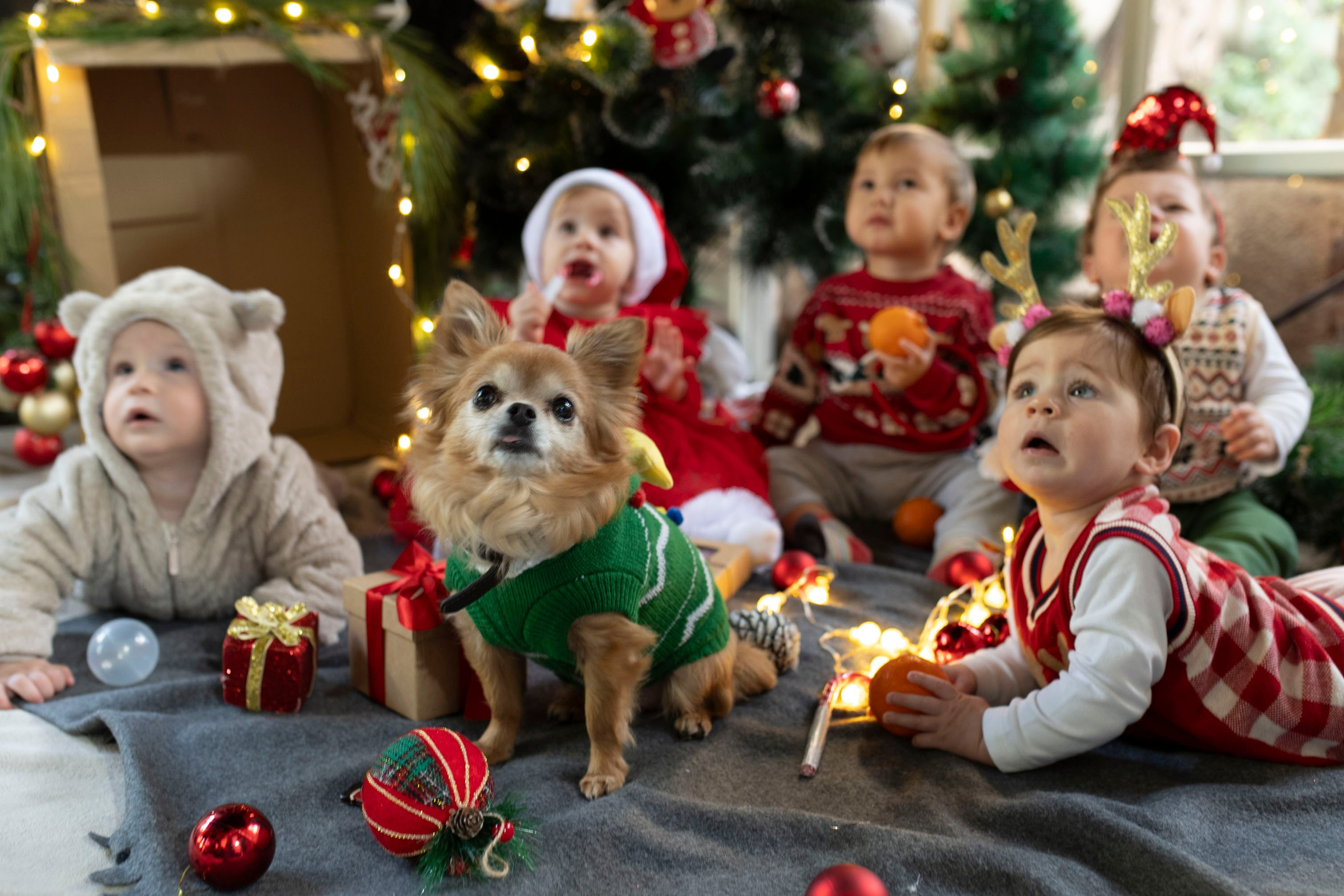 Christmas in Kindergarten. KATY GOLD PHOTOGRAPHY