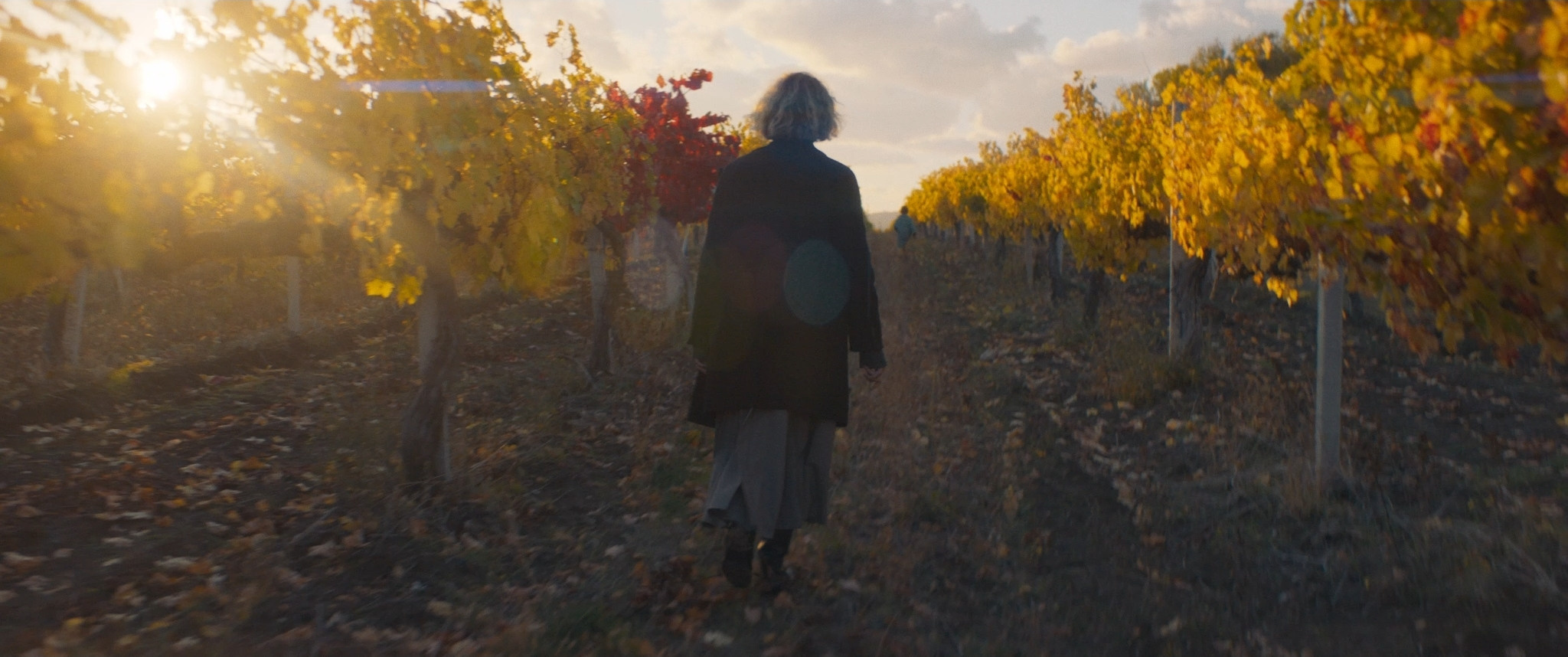 On the Other Side of the Vineyard | Short film. Ilia Ivanov
