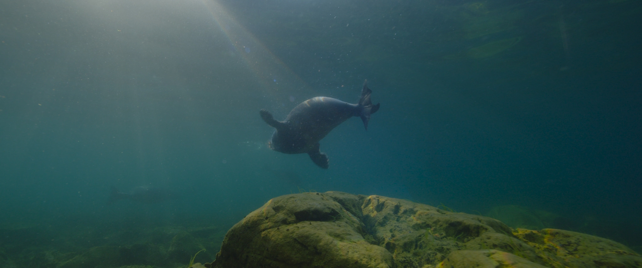 Baikal: Amazing Adventures of Yuma | Film. Ilia Ivanov