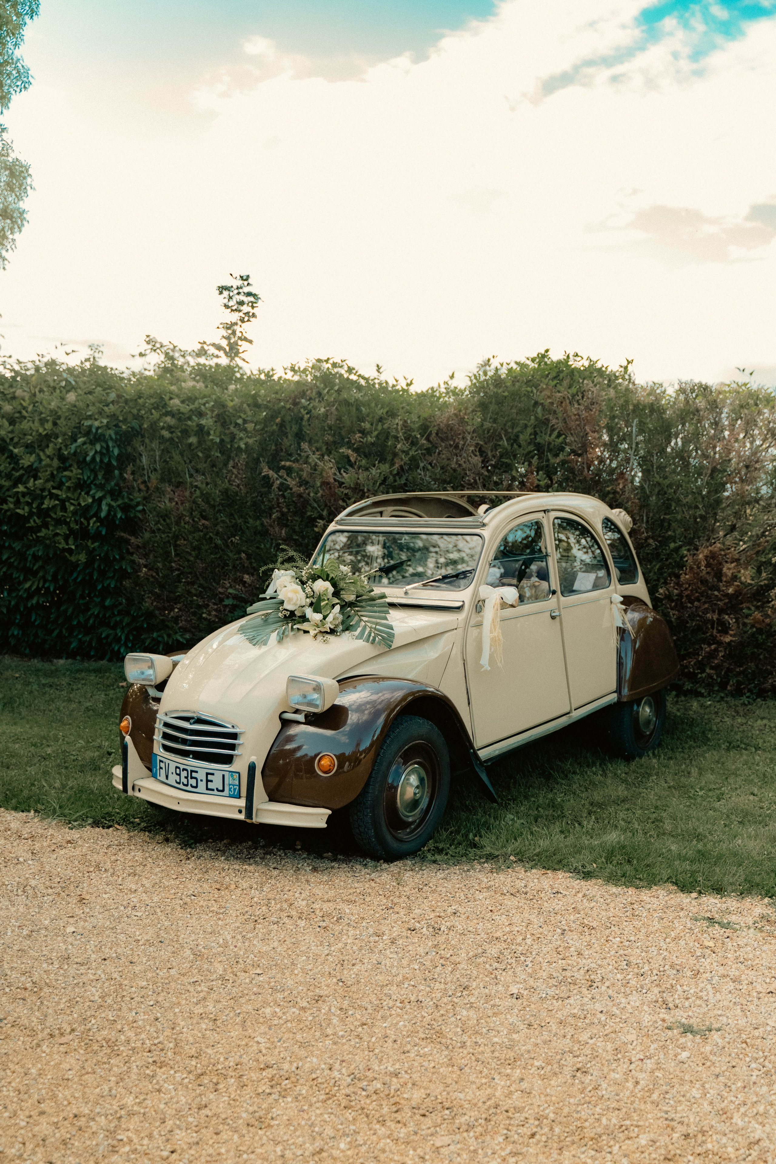 S & F. Weeding photographer / event / portrait