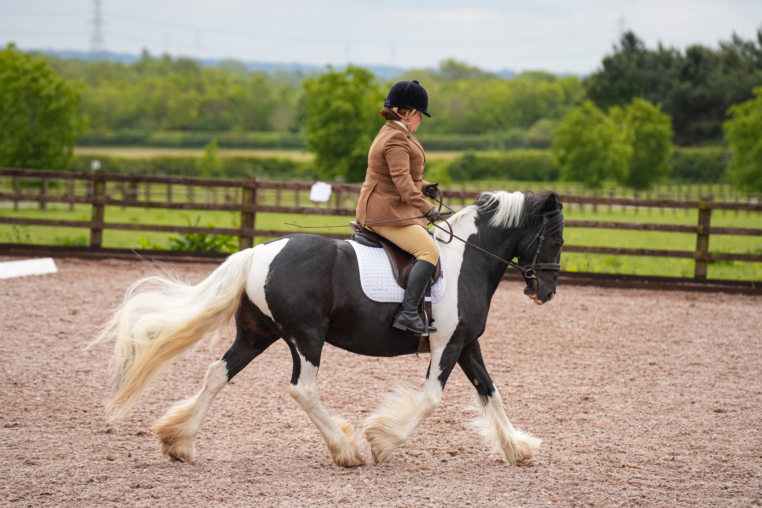 Dressage. Leicestershire Equine Photography by El | Authentic Equine Portraits & Events