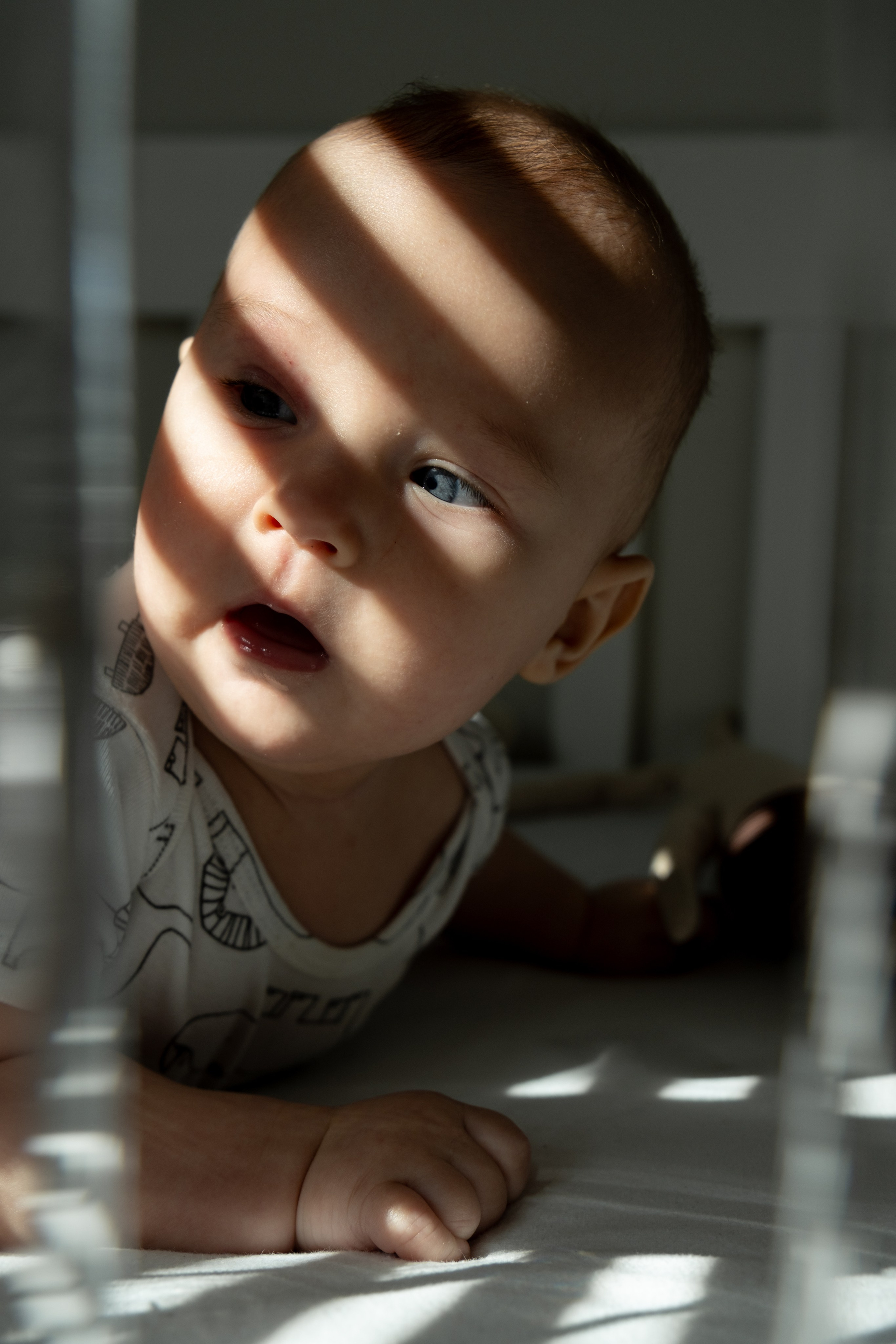 Veniamin. Photographer Vladmir Gladkov