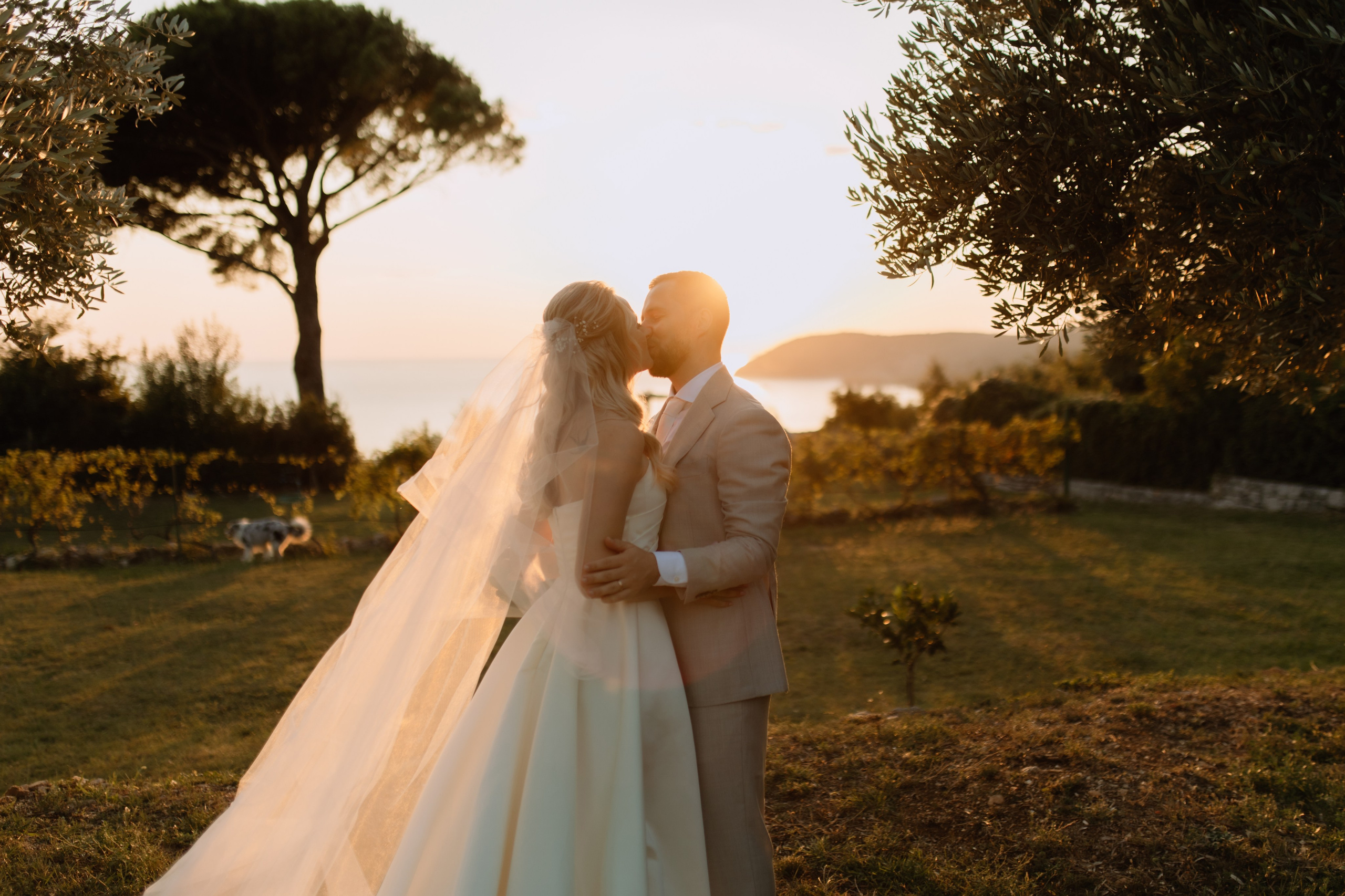 Justyna ir Paulius | 2023 | MONTENEGRO. Vestuvių ir šeimų fotografė Lena Bondarenko / belove photo