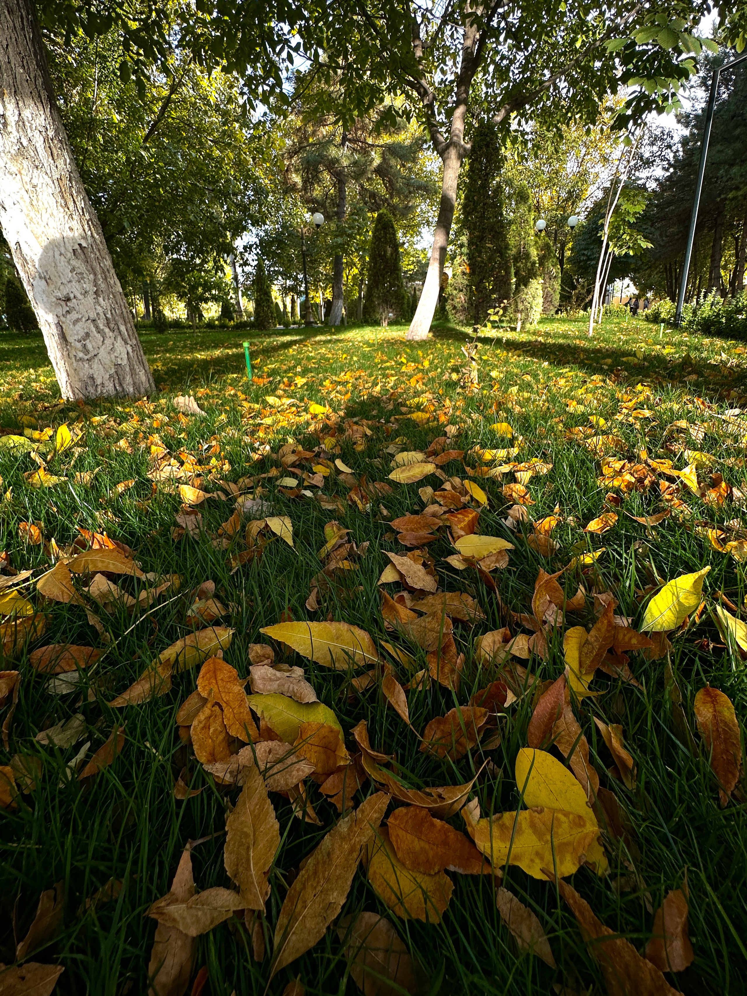 Стрит и Урбан. Георгий Намазов | Фотограф в Ташкенте