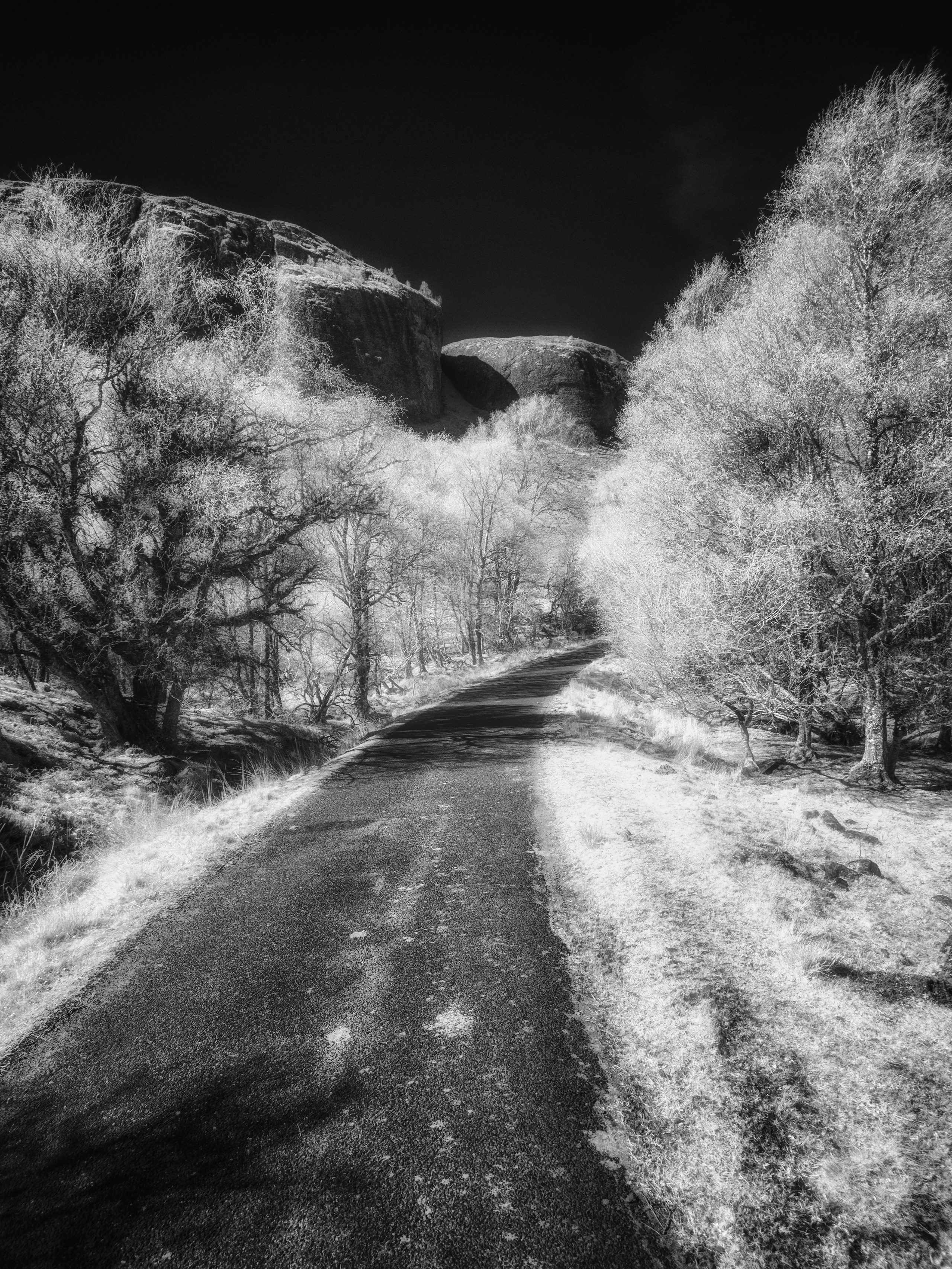 The Land. Infrared Scotland
