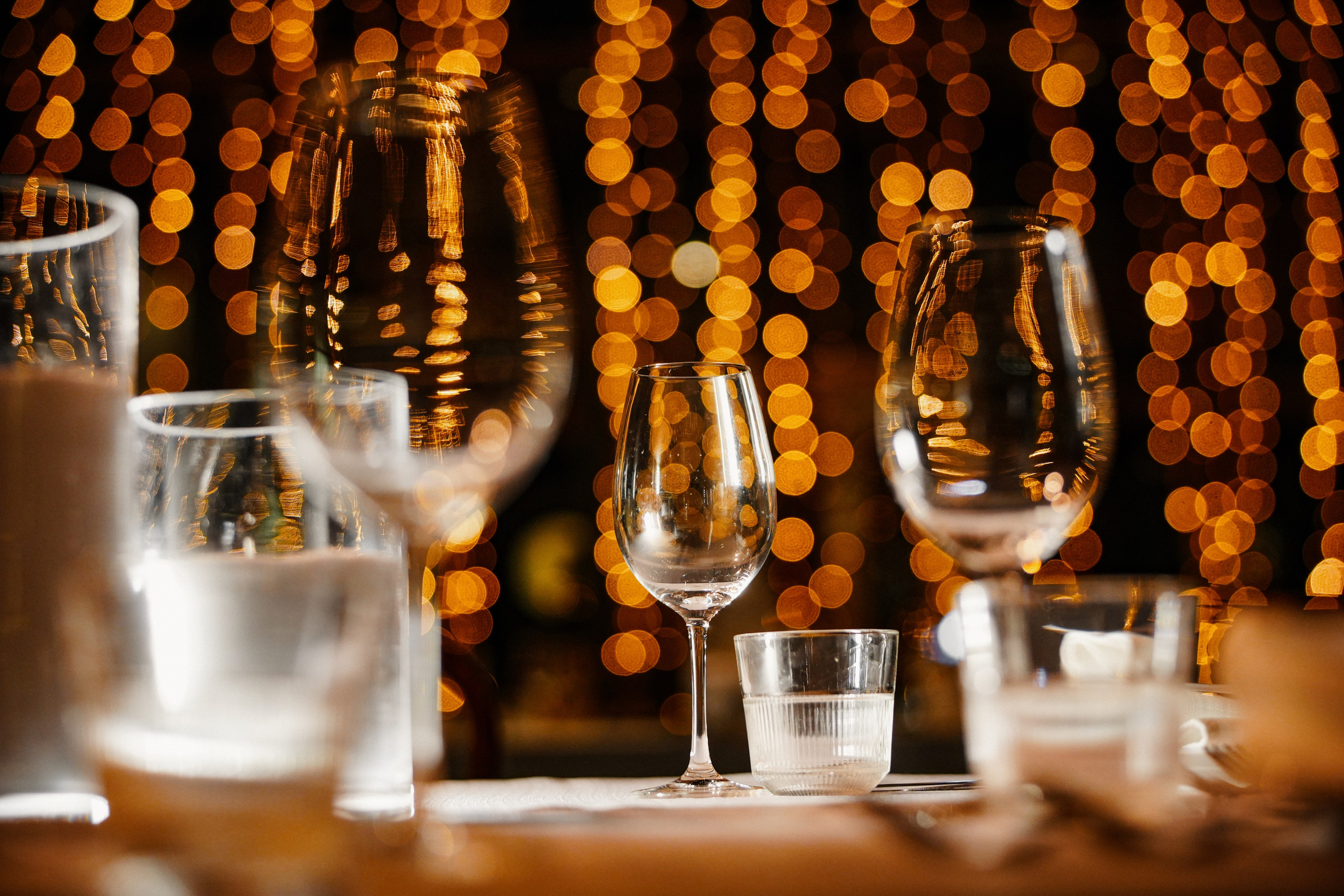 Dmitry Gorodetsky Event Photographer