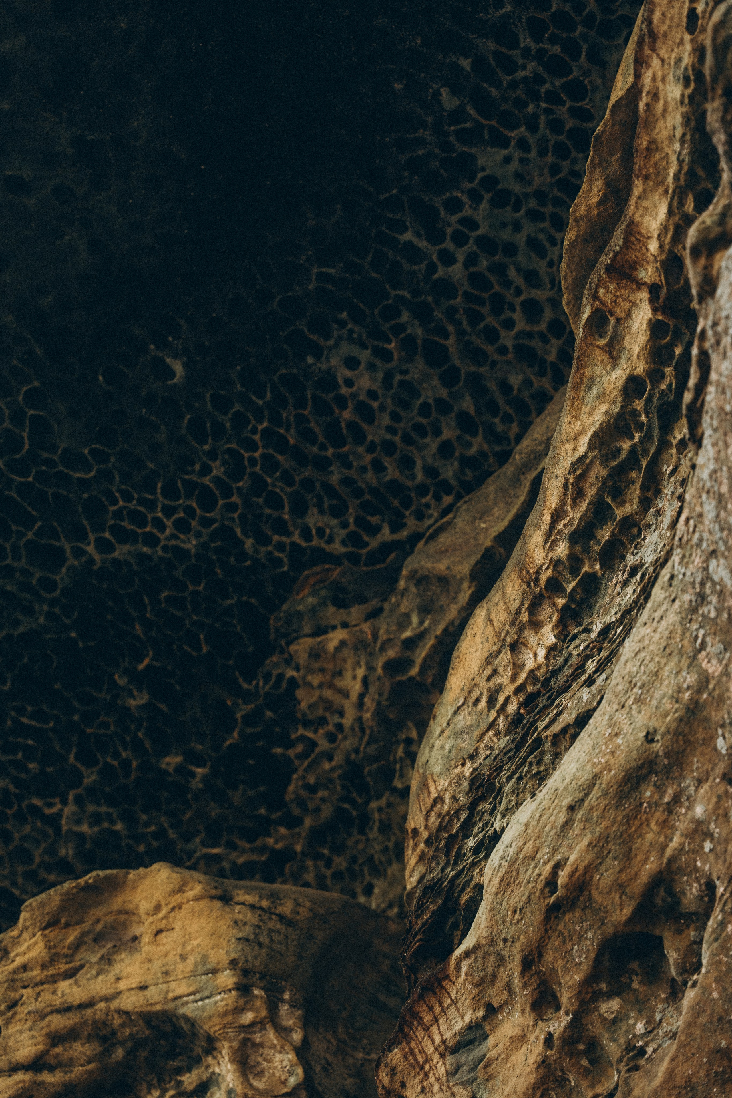 Müllerthal. Elena Seewald