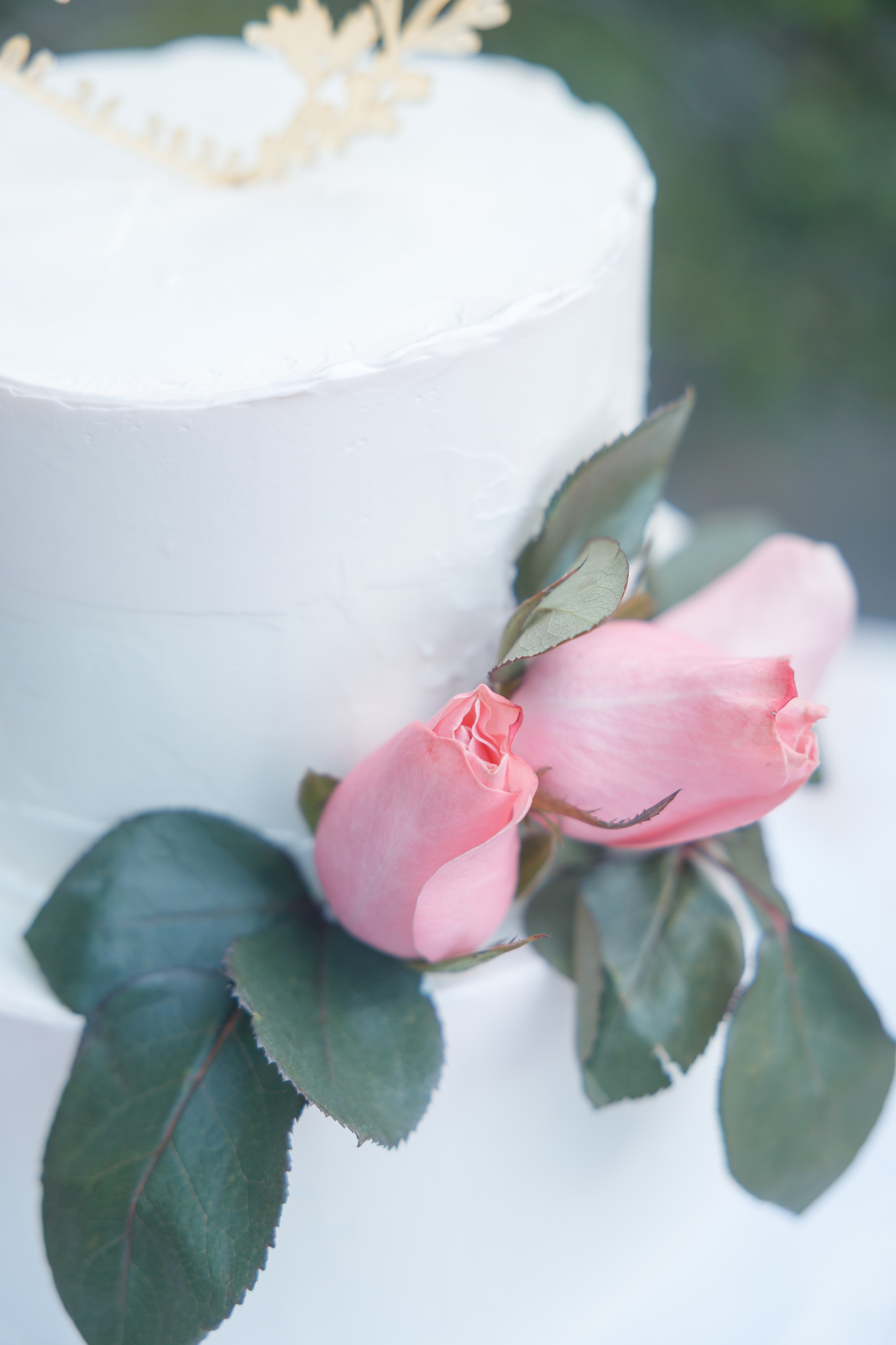 Wedding. Family and Event photographer in Bay Area Elena Tiuriumina