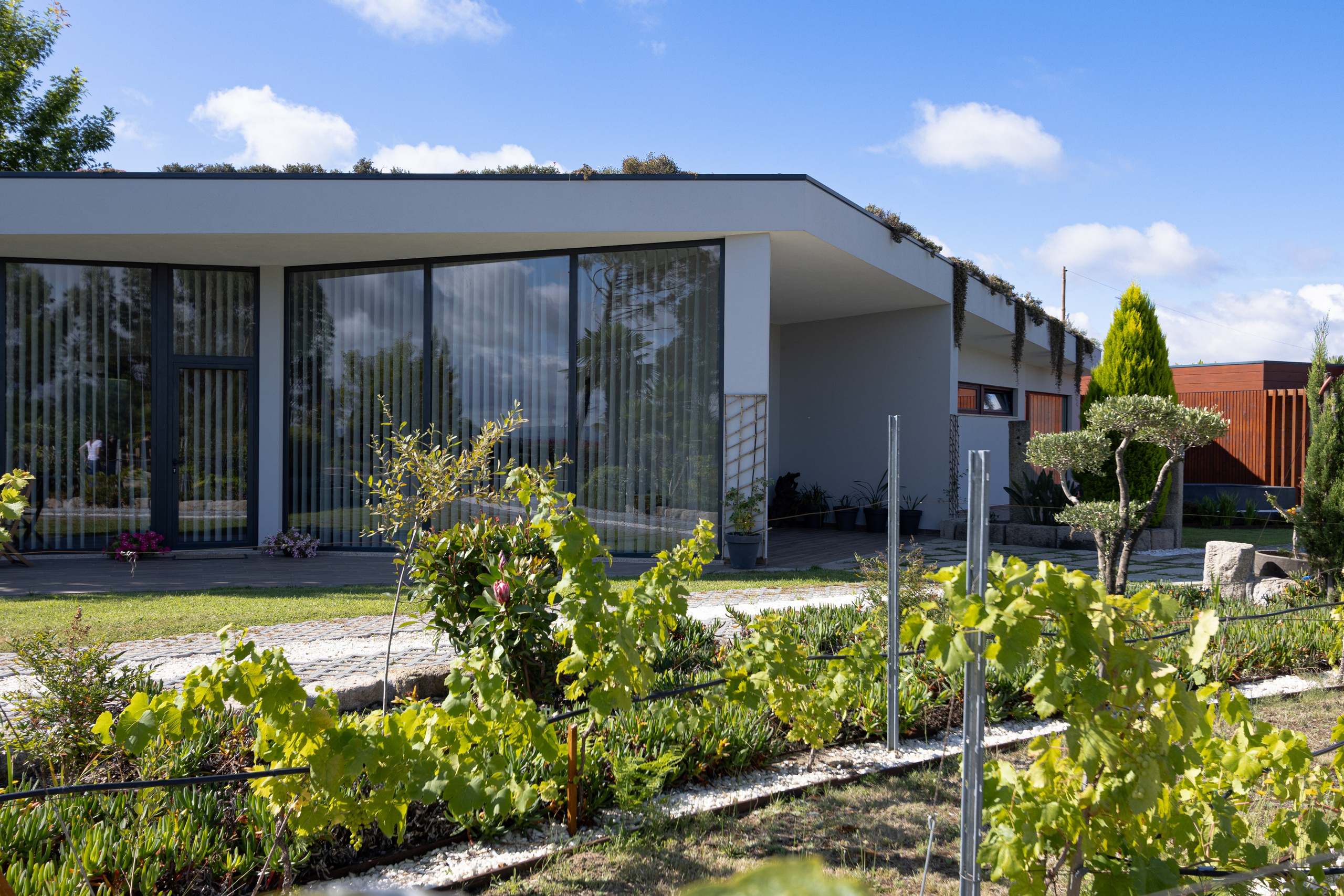 PEDRA AGUDA SPA. ESTUDIO DOZE