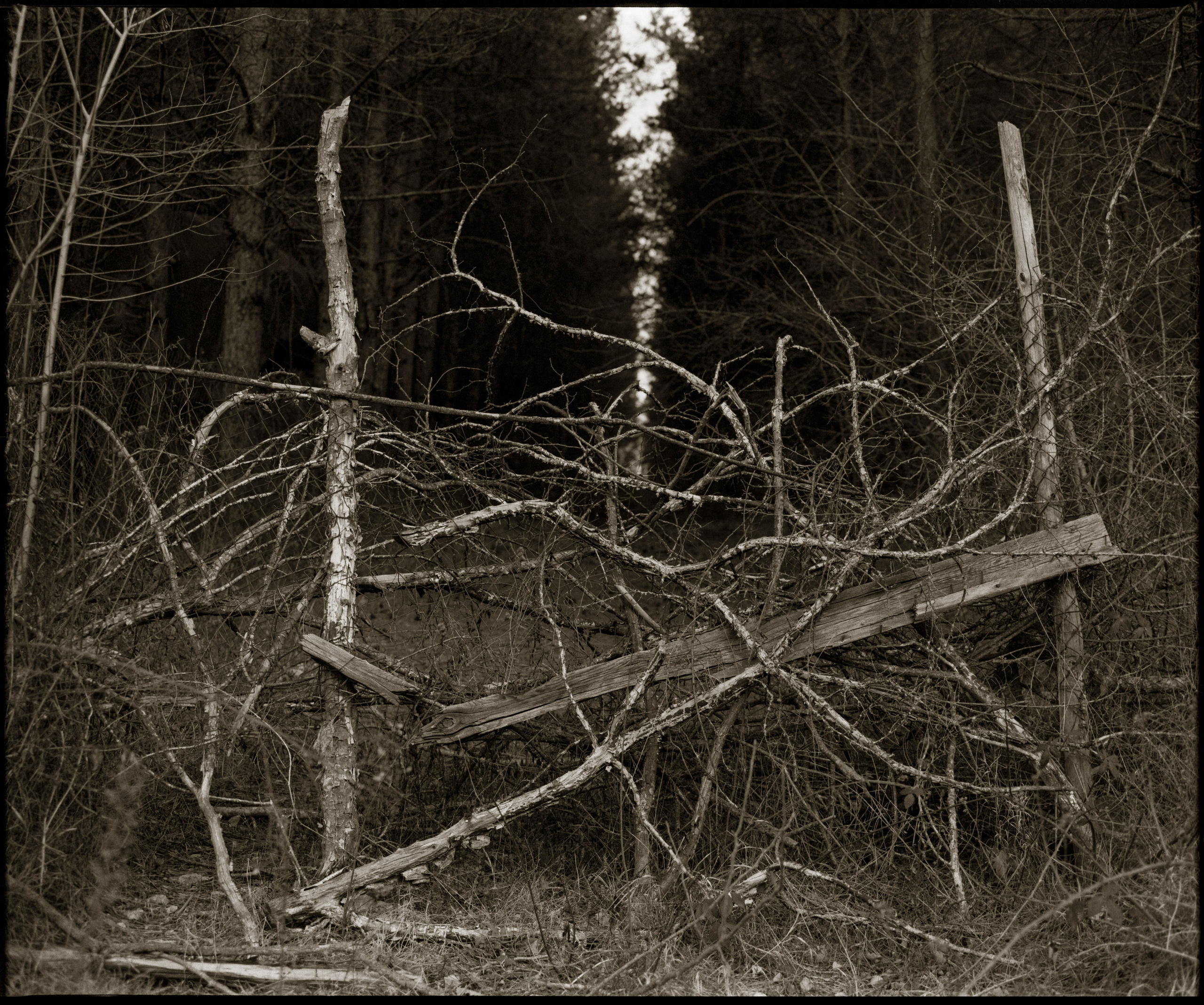 Kish village. Www.sananaleskerov.com