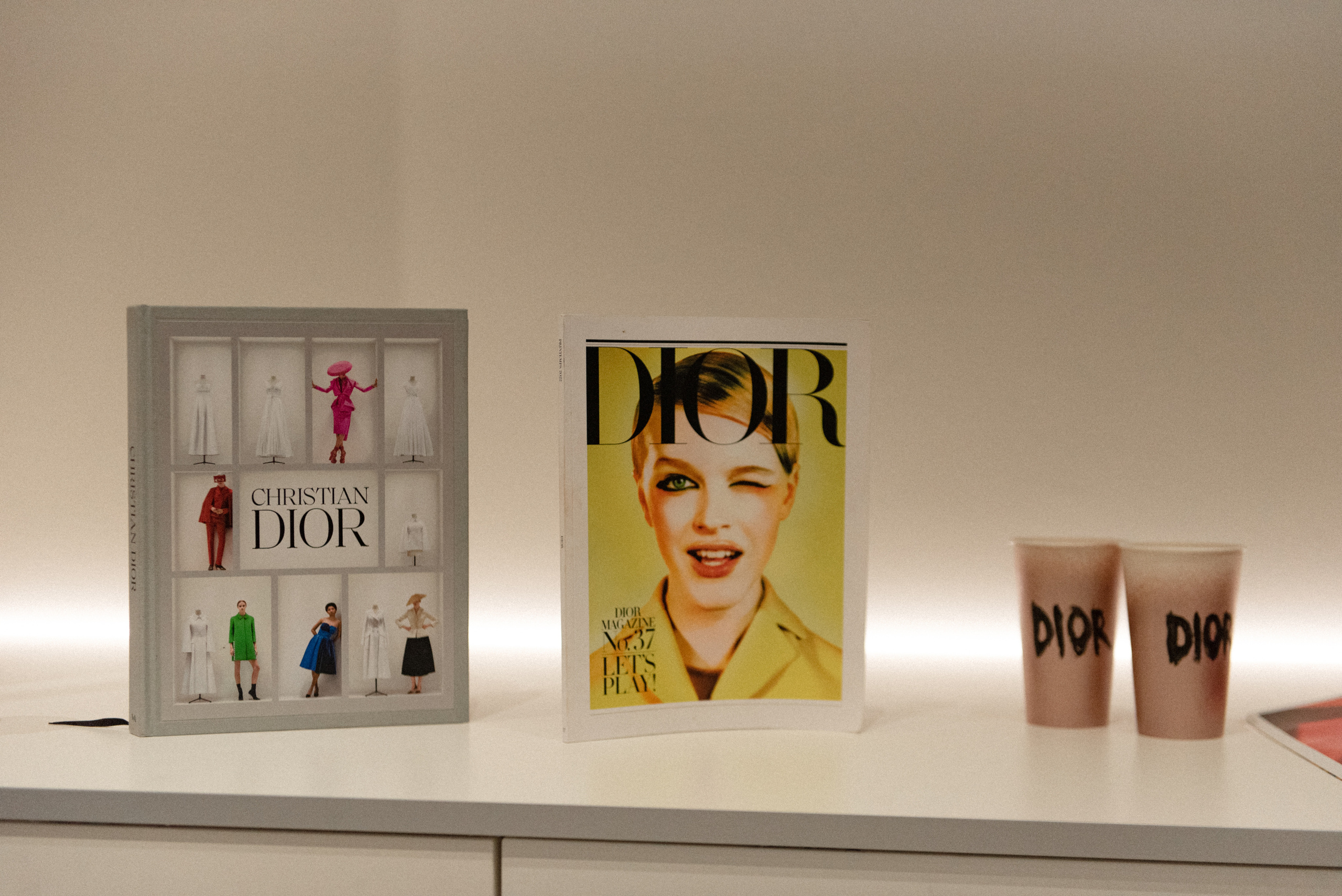 Lecture about Dior Event. Photographer in Vienna Ksenia Kogler