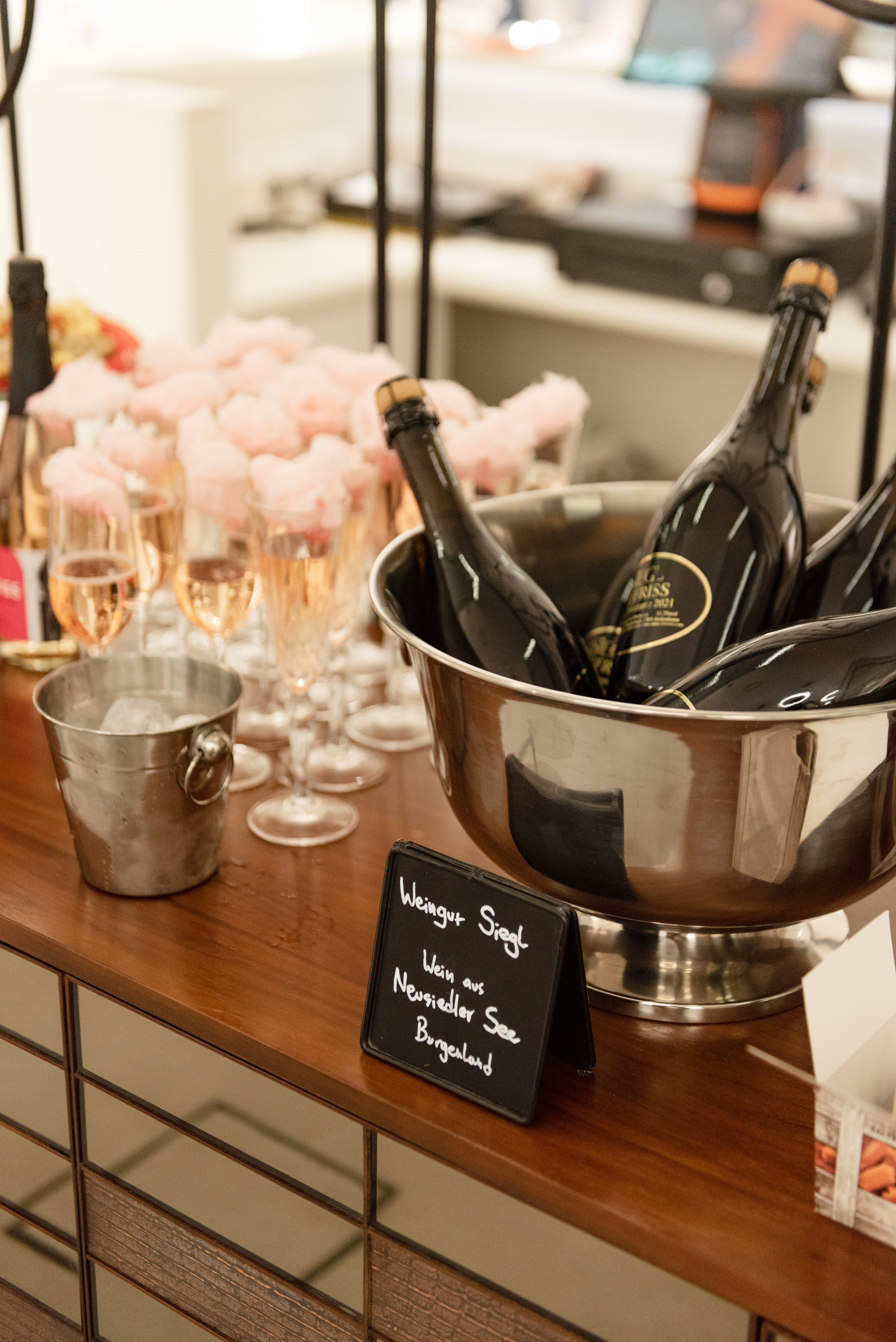 Lecture about Dior Event. Photographer in Vienna Ksenia Kogler