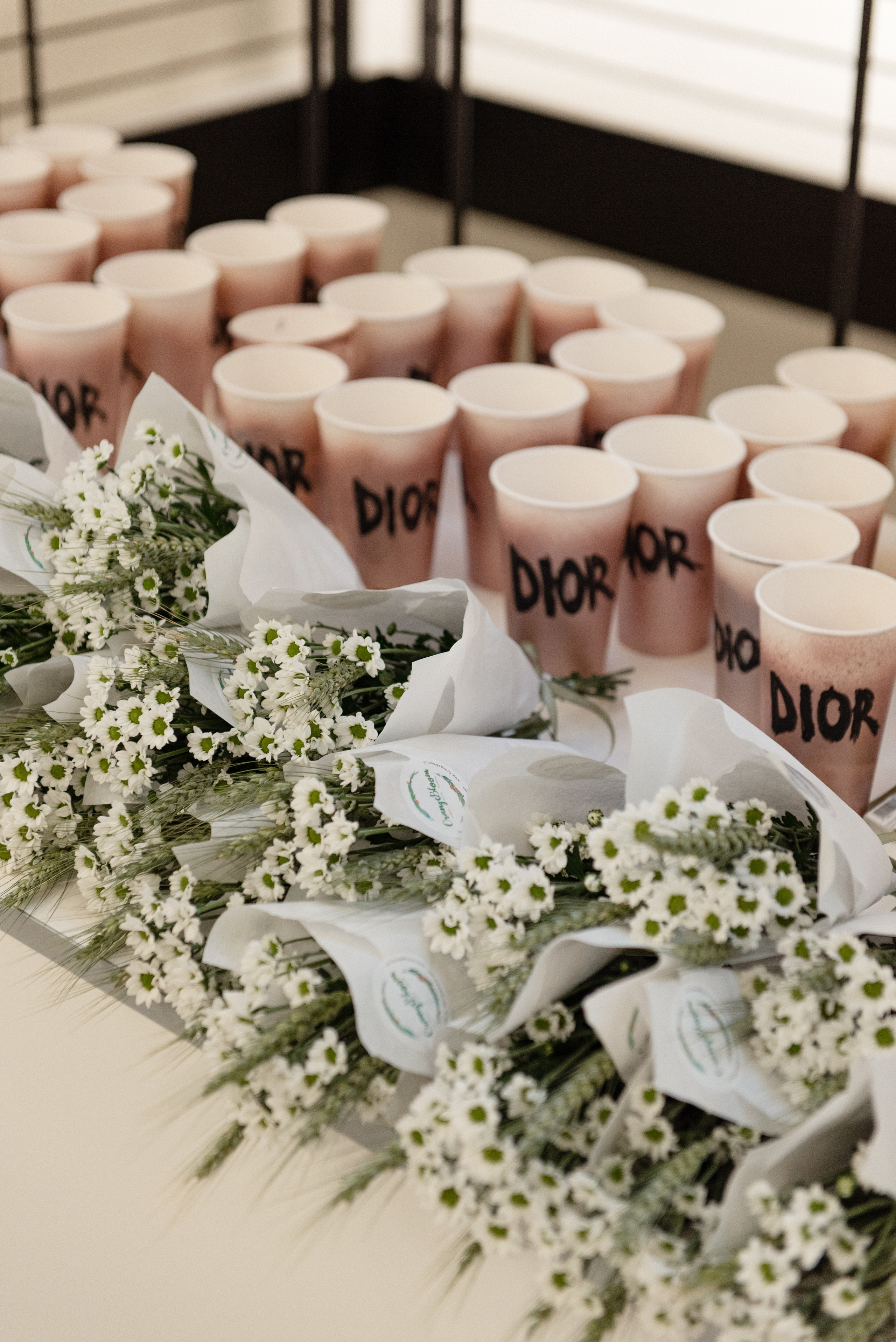 Lecture about Dior Event. Photographer in Vienna Ksenia Kogler