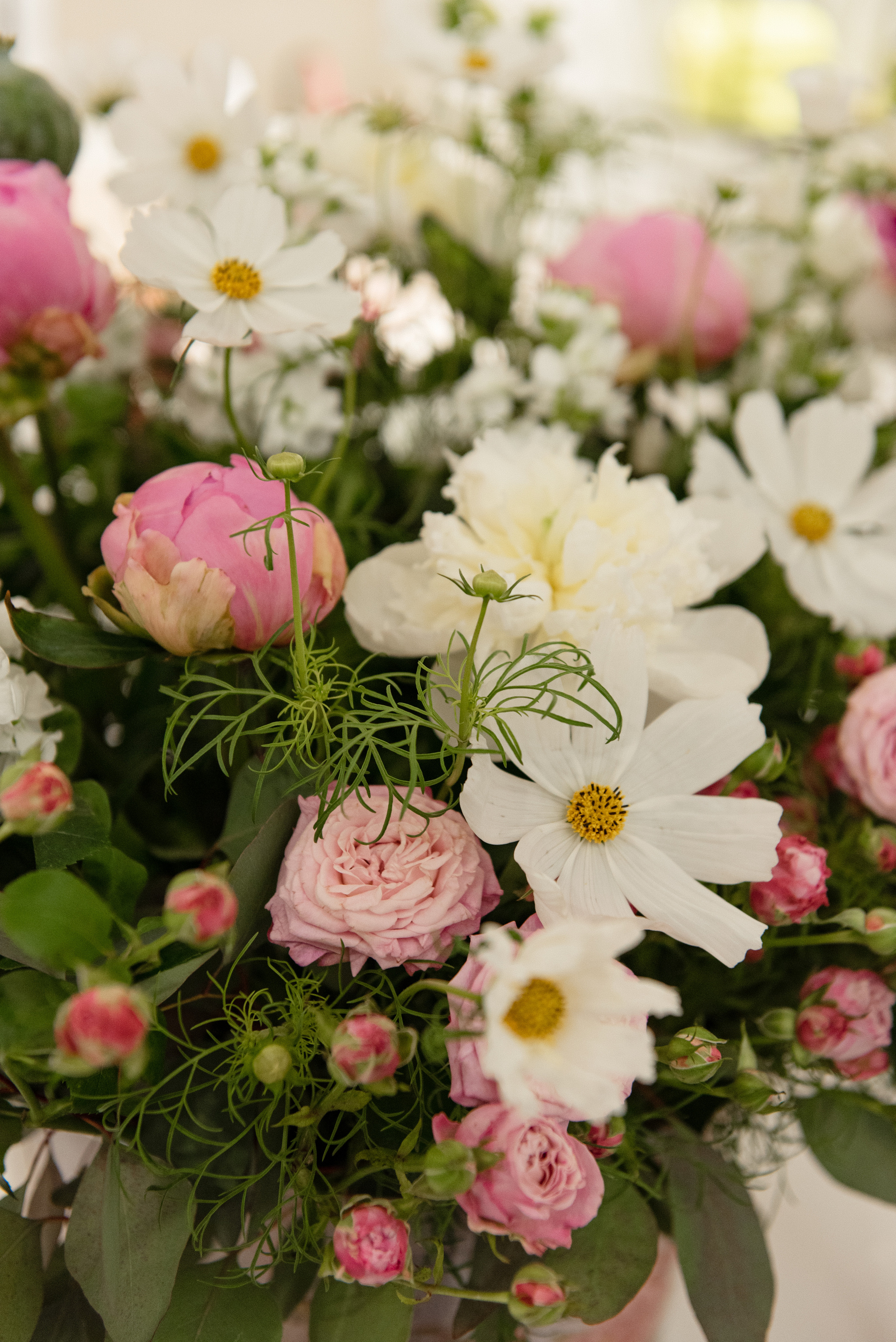 Lecture about Dior Event. Photographer in Vienna Ksenia Kogler