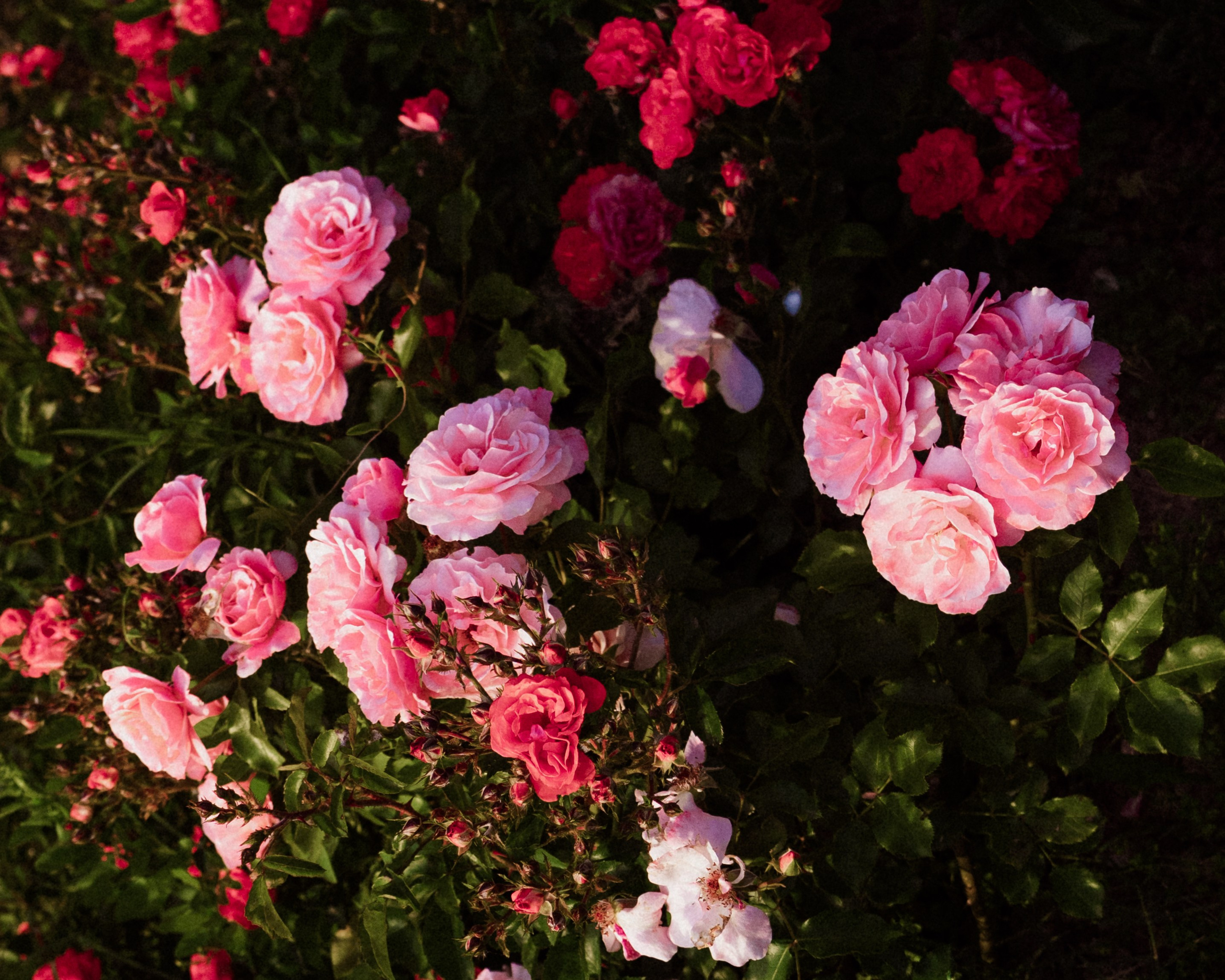 PORTFOLIO. W LAB 192 | Davide Vichi