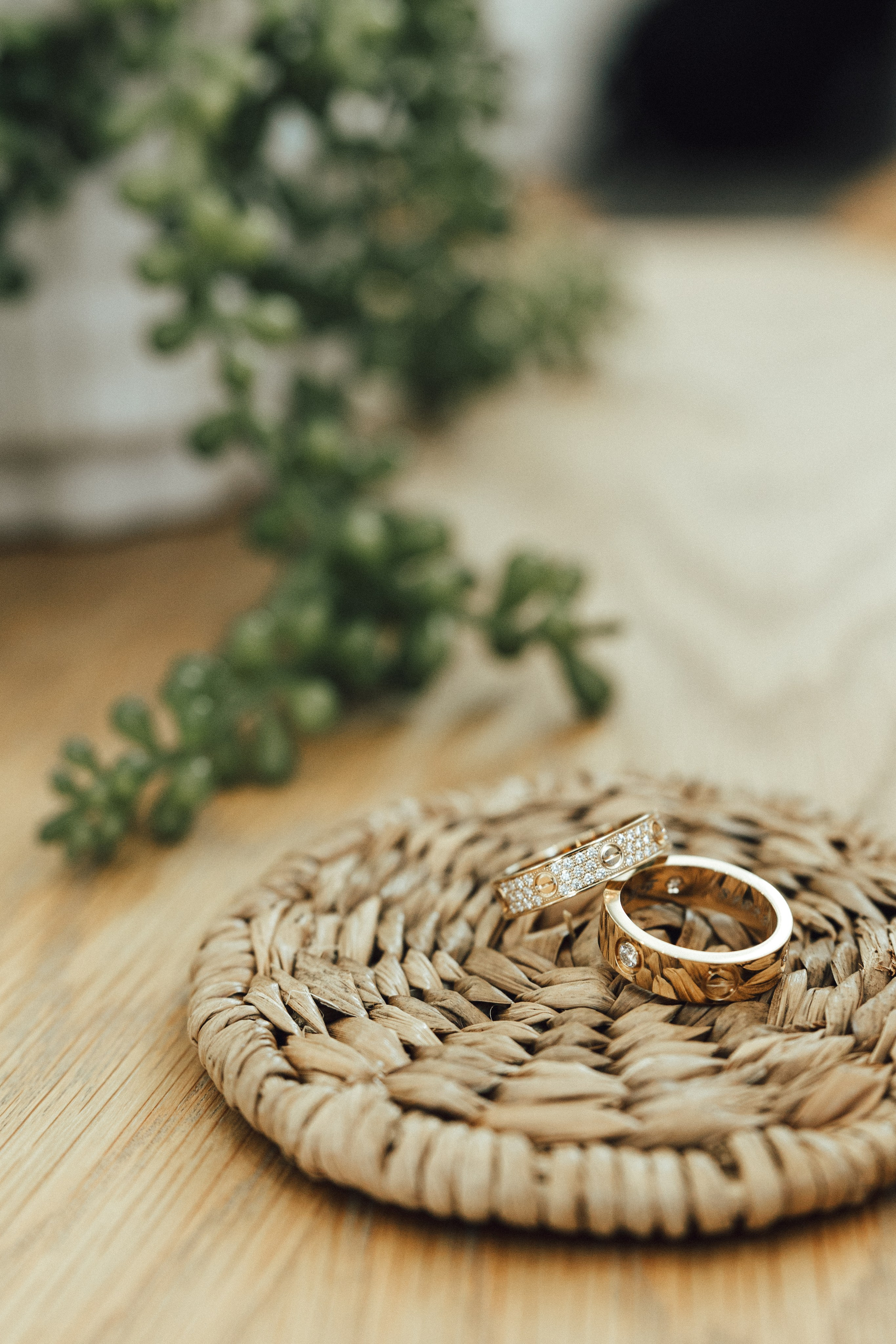 Wedding Omer&Mitchell. Sara Eulalia | Virginia Photographer