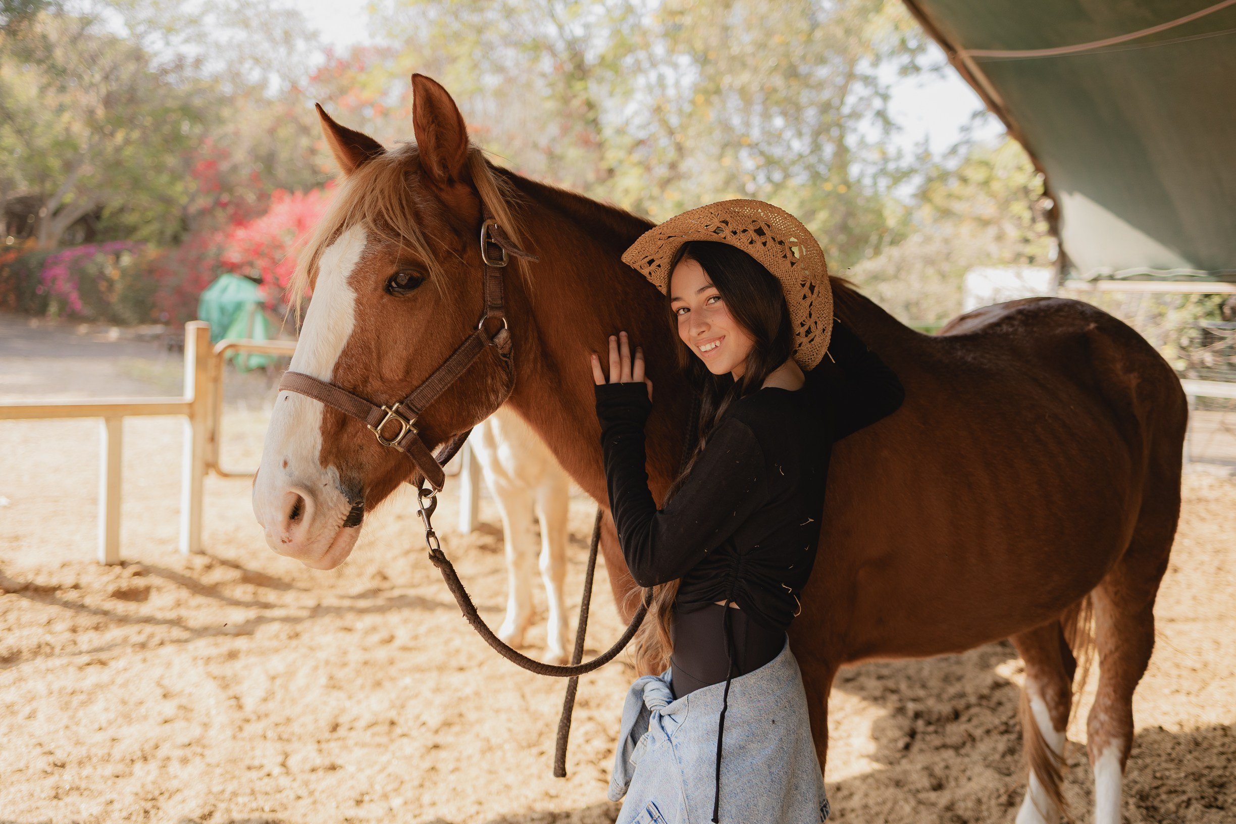 חוות סוסים בת מצווה. דף בית