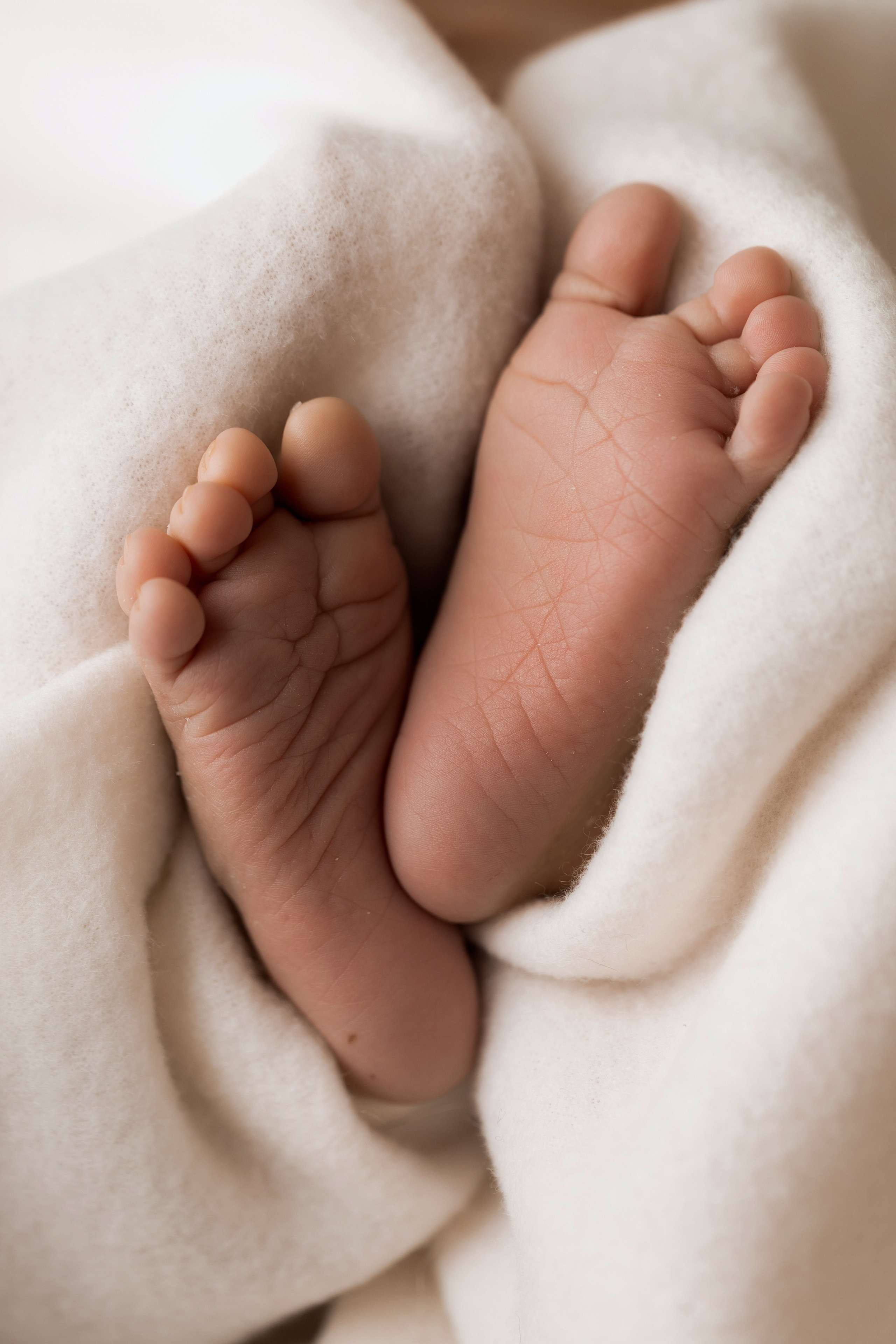 Newborn Classic. Family photographer in Bay Area, California