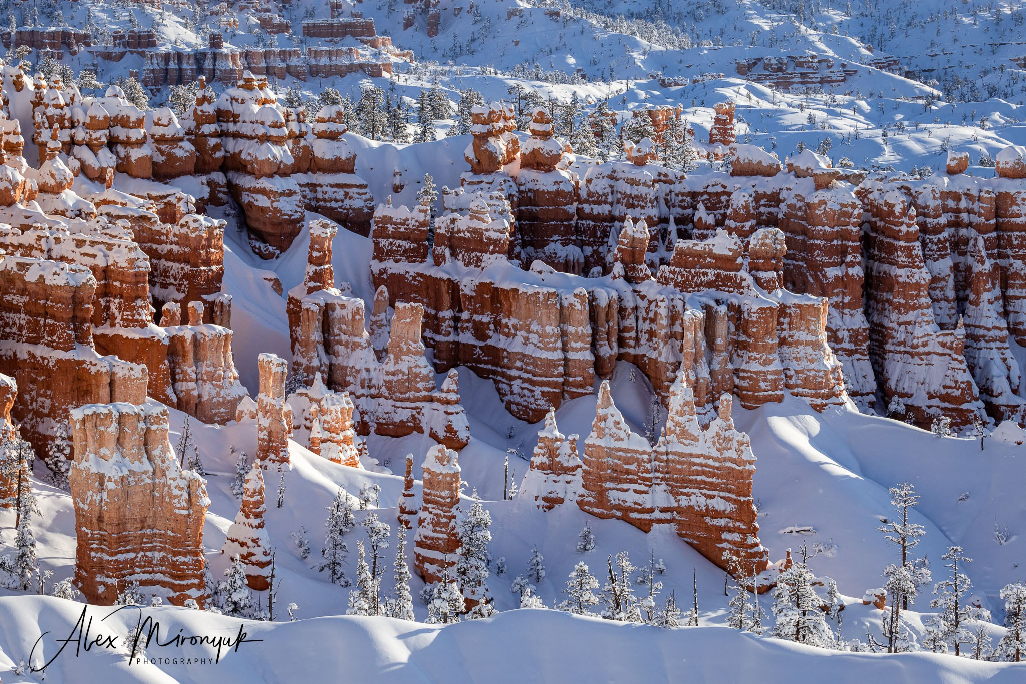 New Year In Utah. Pet, Senior, Landscape, portrait studio, photographer in Miami and Sou