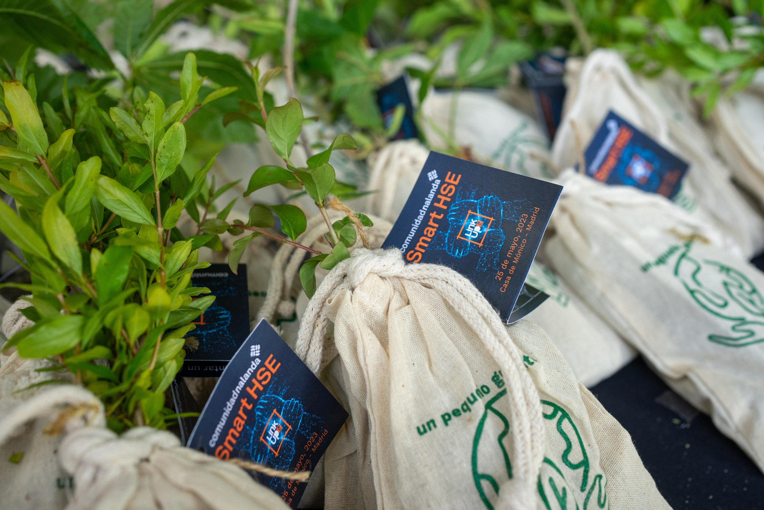 Nalanda. Smart HSE Link-Up. Fotógrafa en Madrid | Retratos femeninos, familia y sesiones con caballos – Anna Maruleva