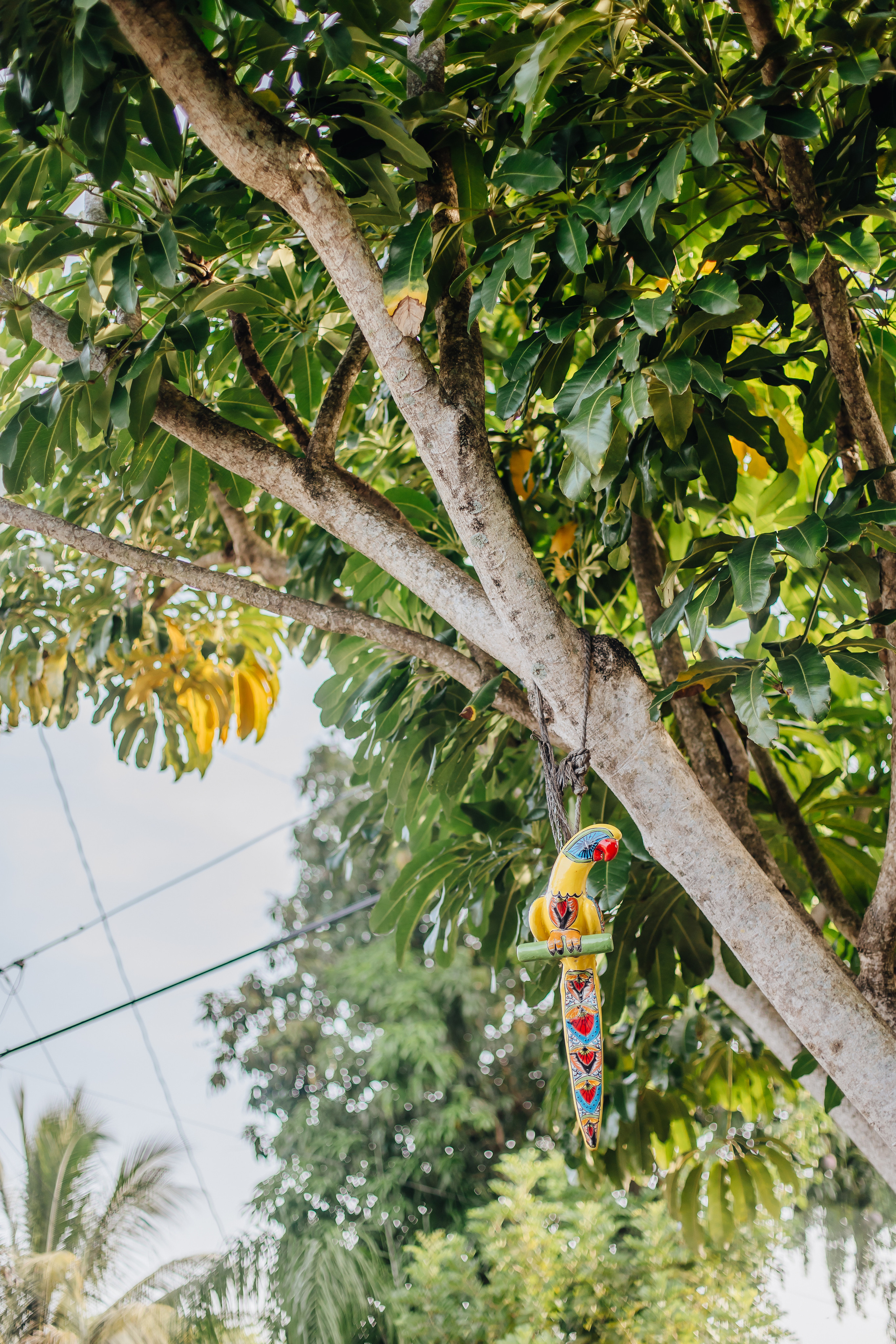 Retreat. Alya Leto Photographer