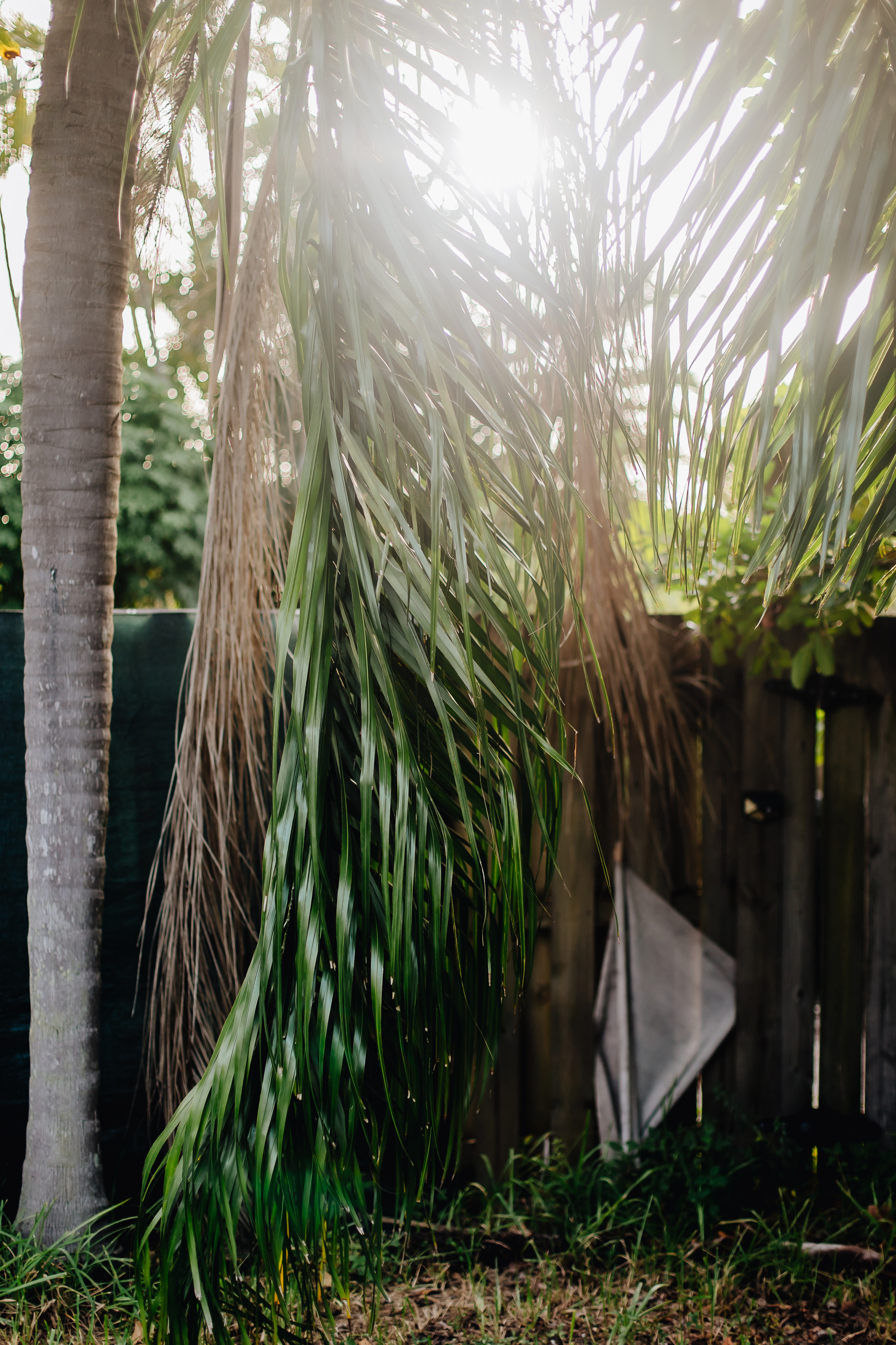 Retreat. Alya Leto Photographer