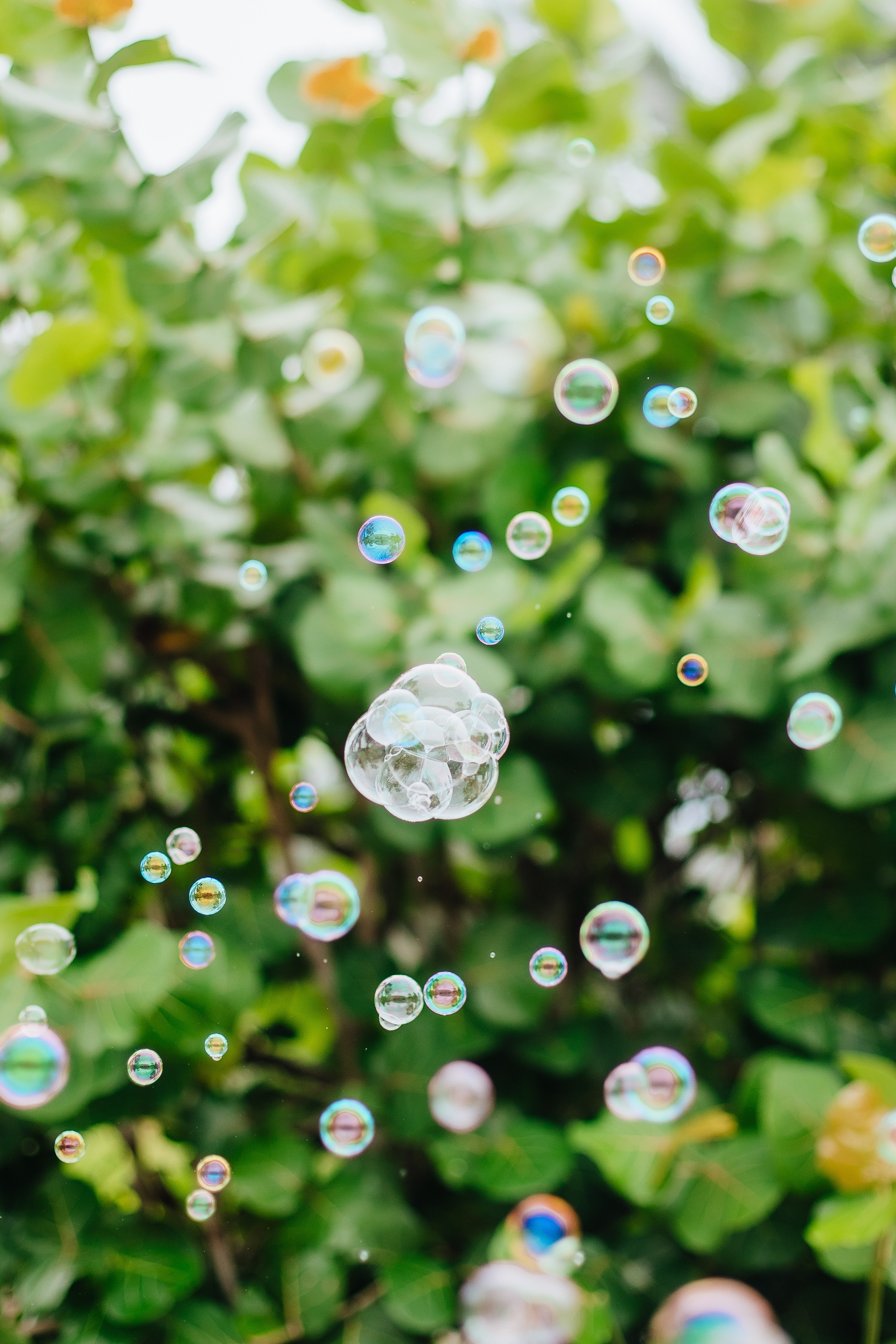 Happy Daniel. Alya Leto Photographer