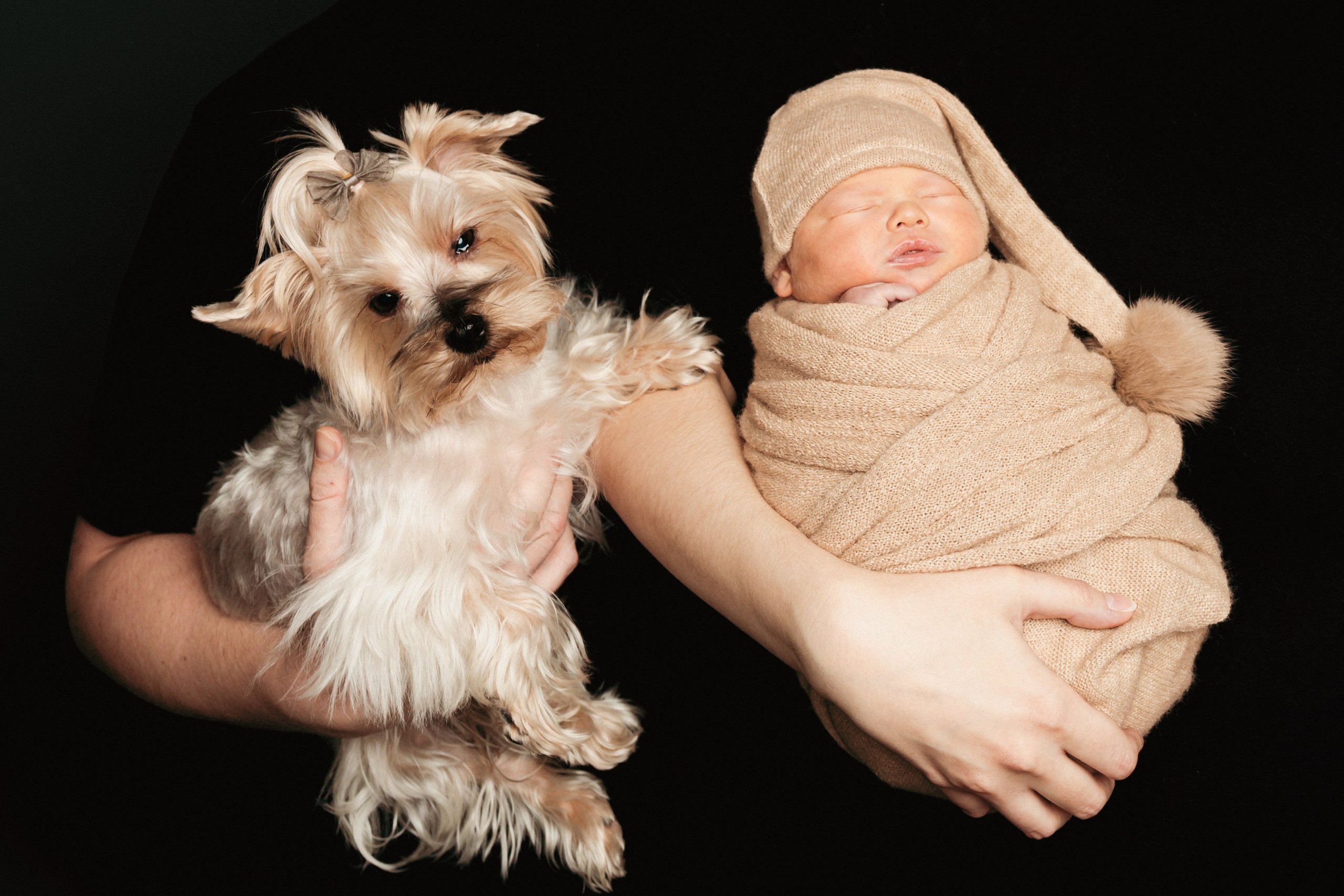 Portrét novorozence ve fotoateliéru Písek s jemným studiovým světlem