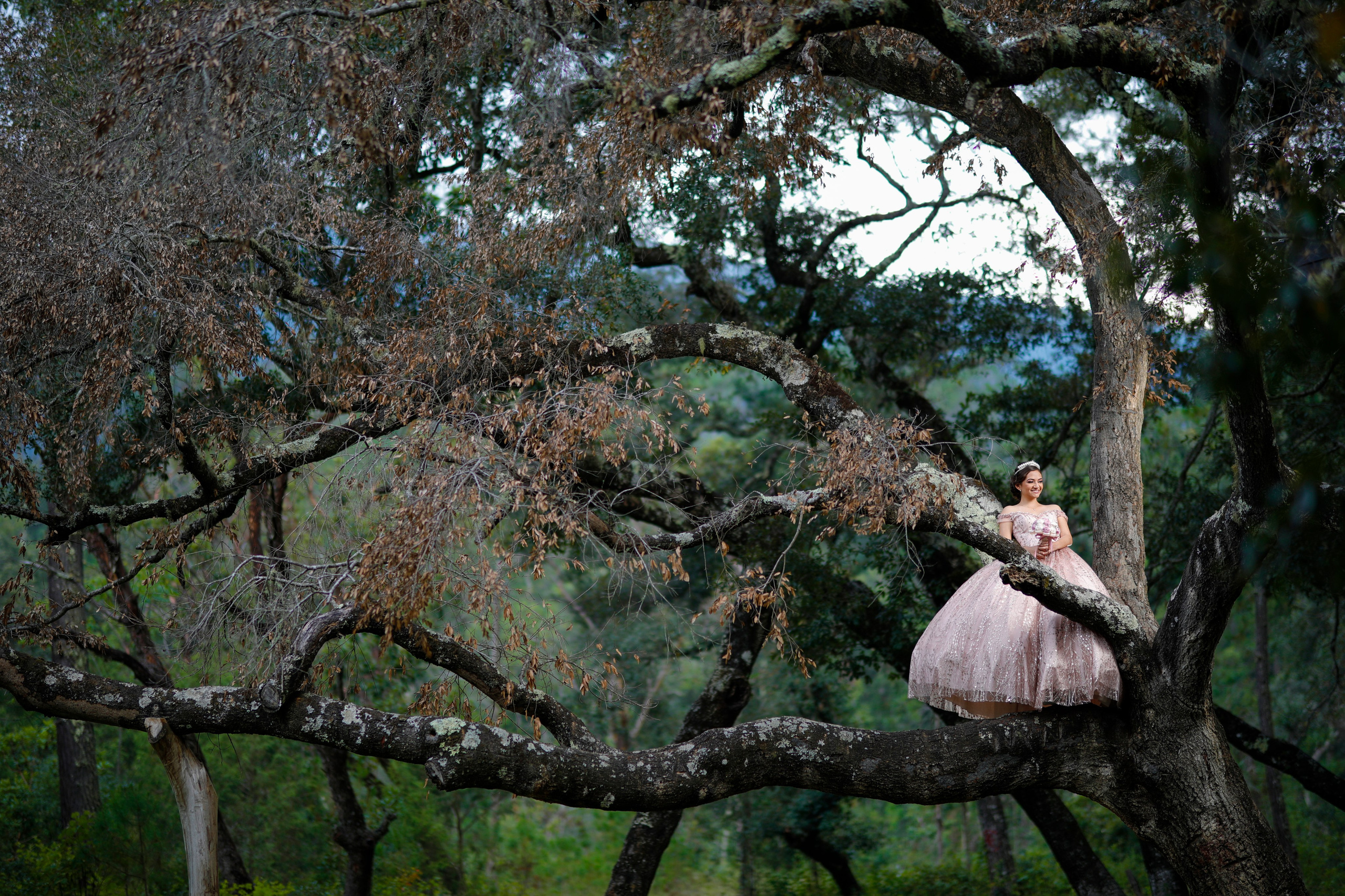 XV años de Sara Julieta. Principal