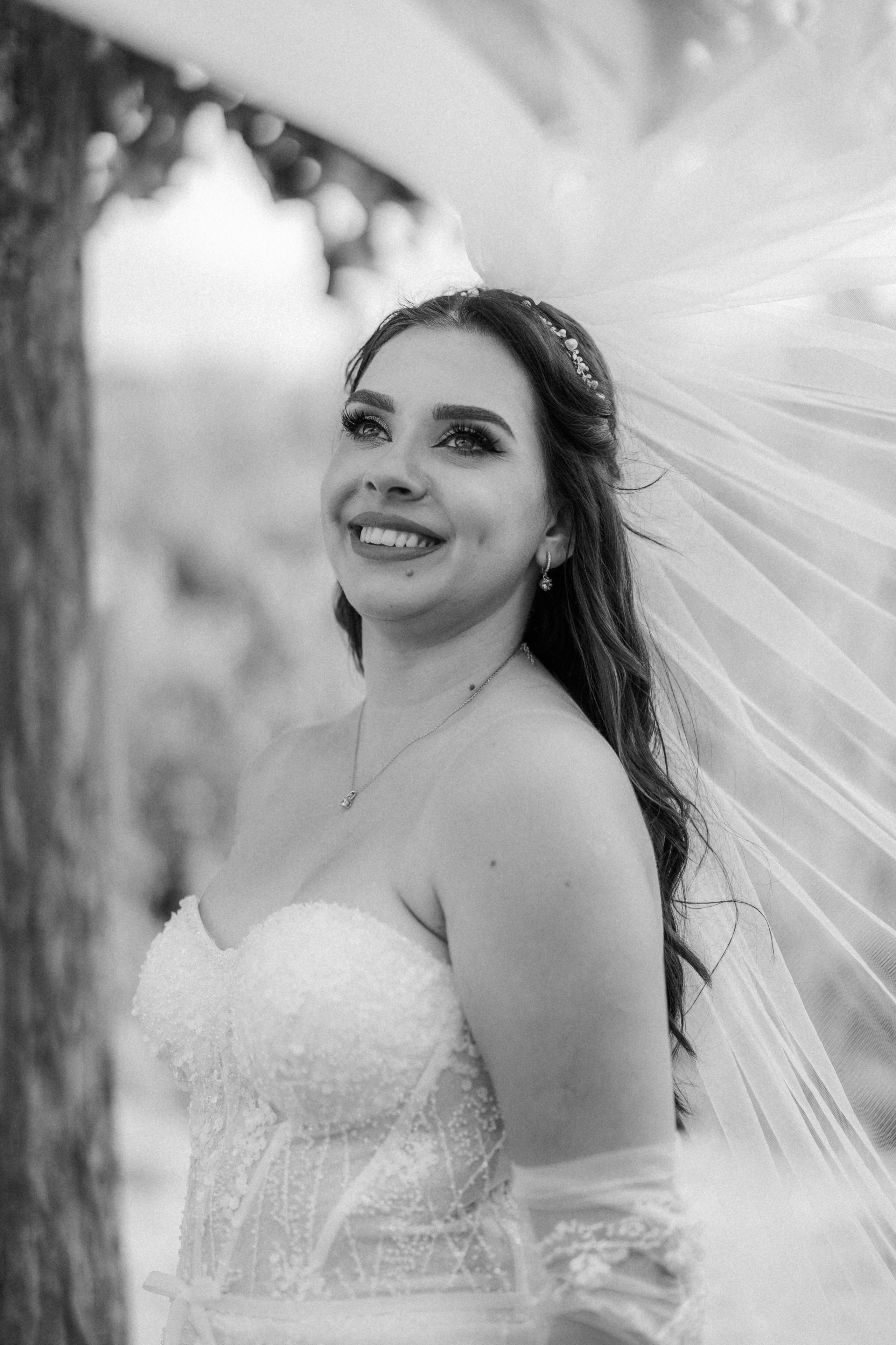 Photography. Alexandar weddings: Home