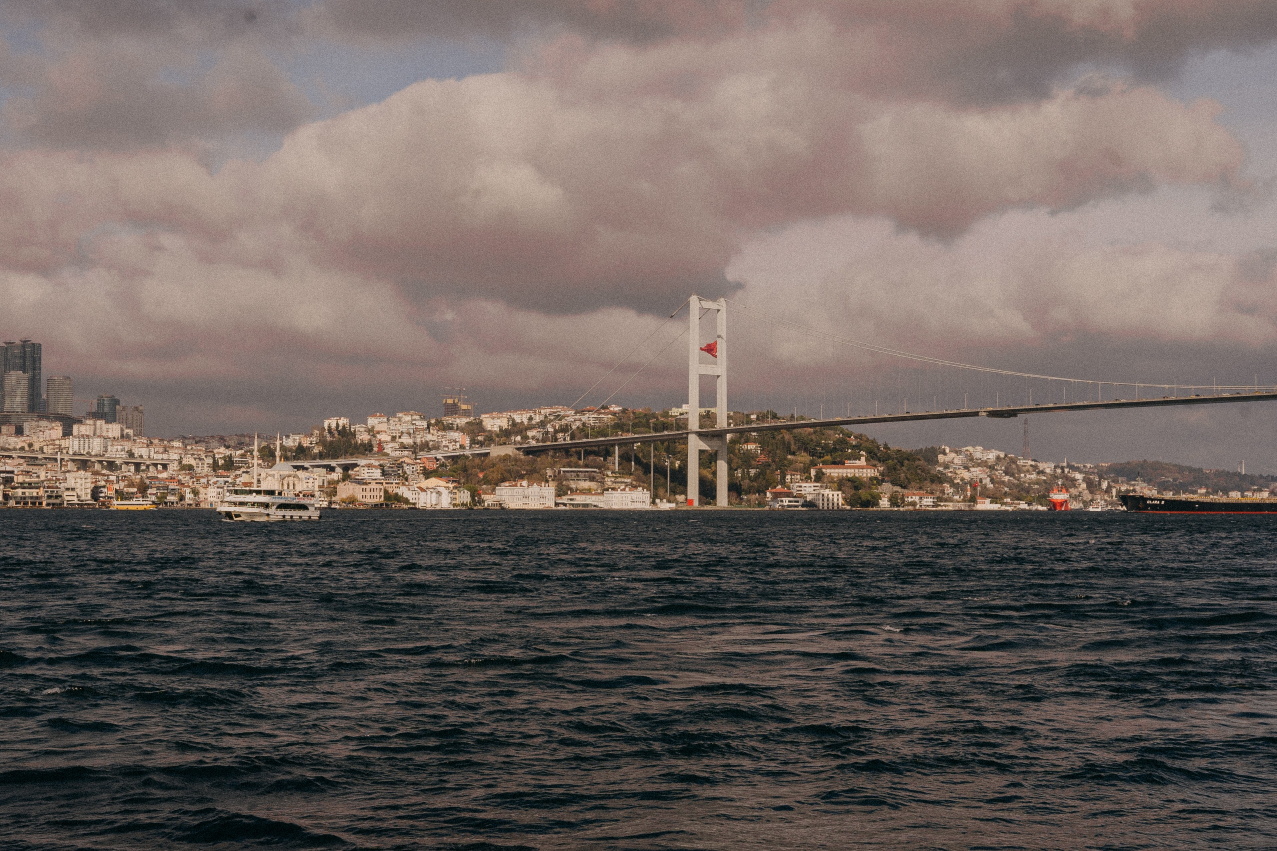 Зу & Саша. Фотограф Москва Ларина Юлия