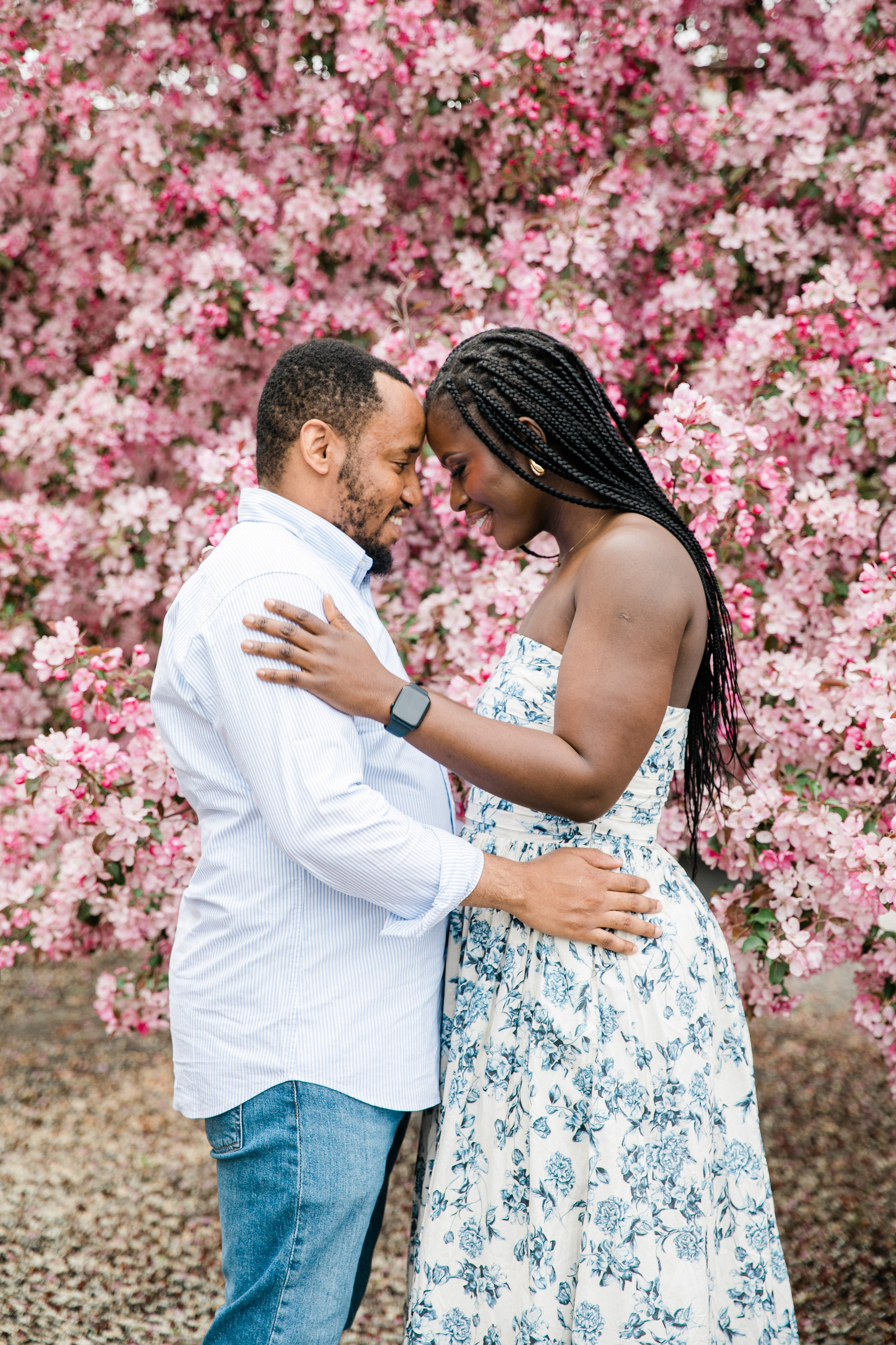 Cherry Blossom — Ester Family. Ching Li Photography