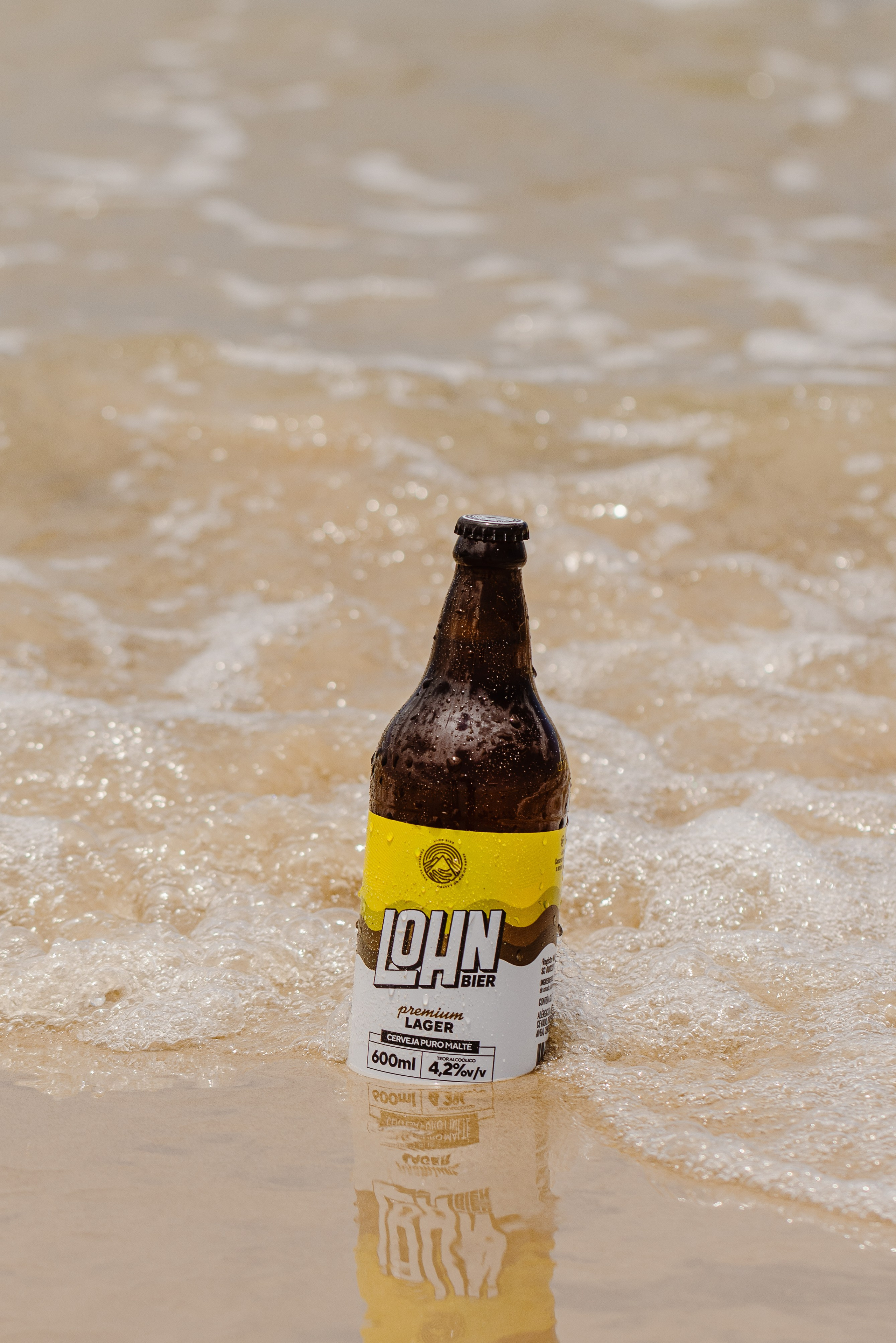 Lohnbier. ESTUDIO DOZE