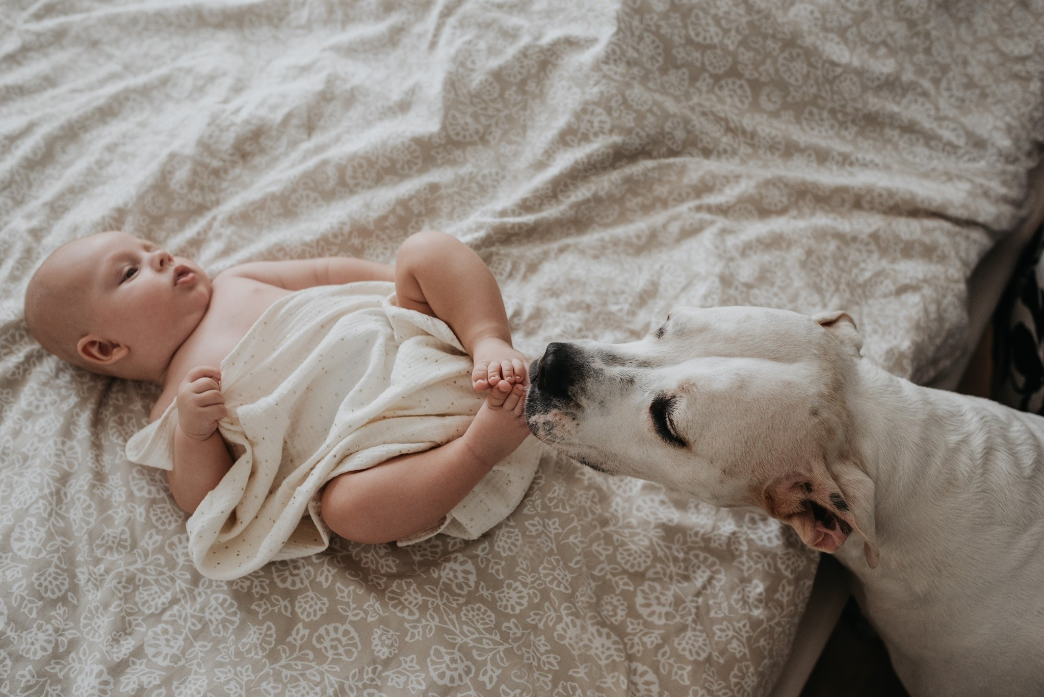 Chrzest Św. Jasia. Dominika Strachacka Fotografia | Fotograf ślubny i rodzinny Opole Lubelskie Lublin