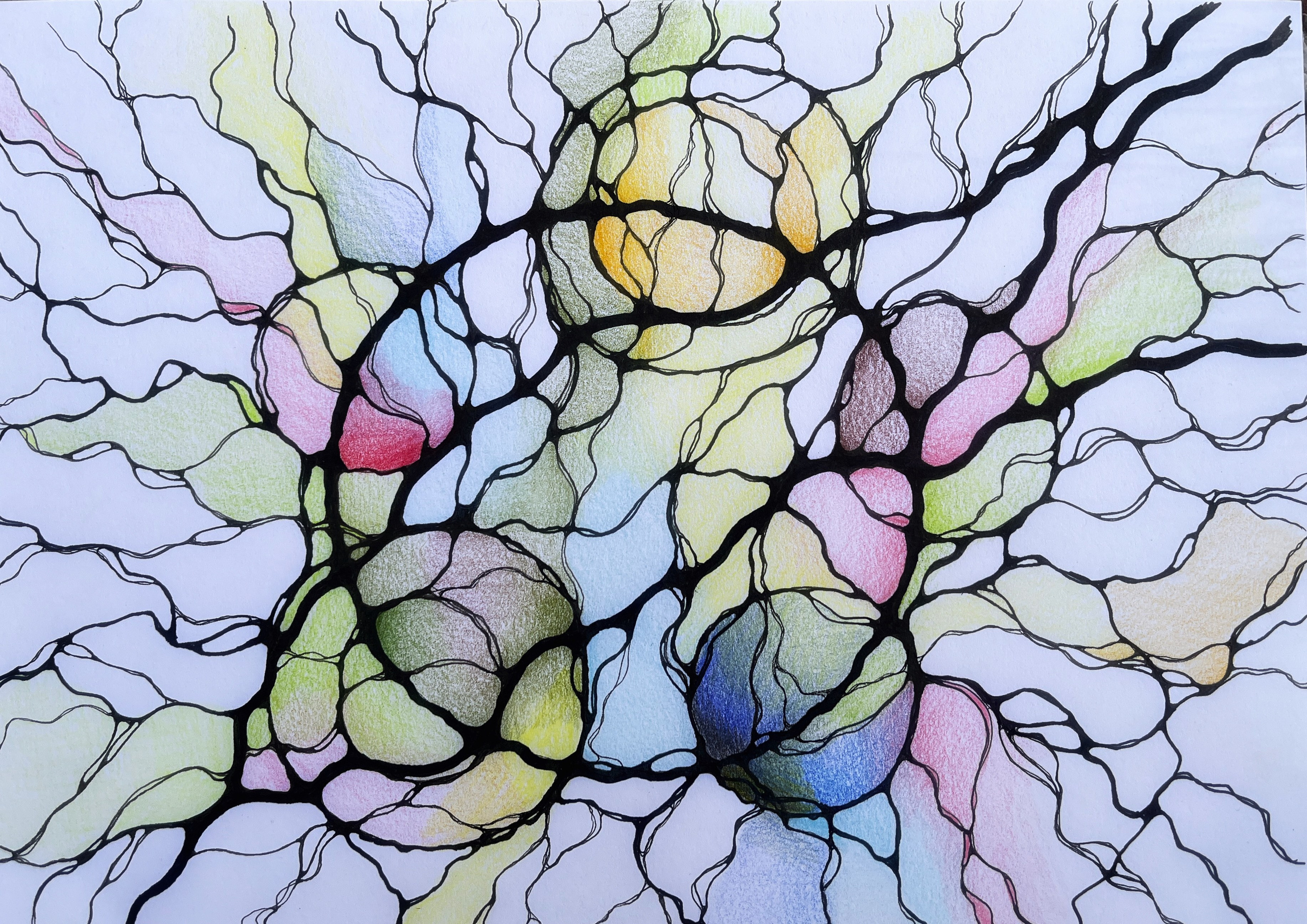 Moje slike. Numerologija. Nevrografika. Delavnice