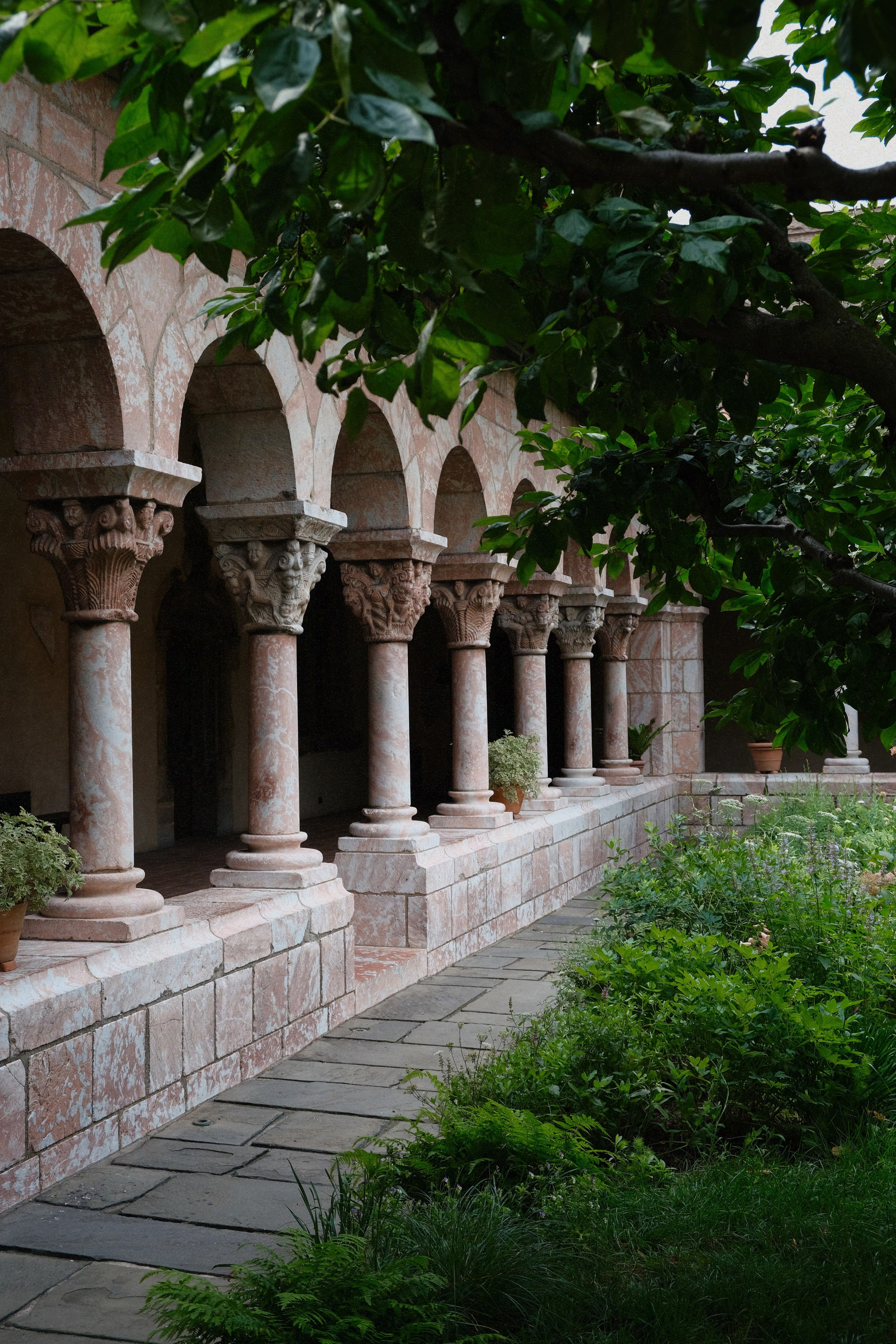 Farzona. New York Photographer Sveta Zemskova, NYC Photo