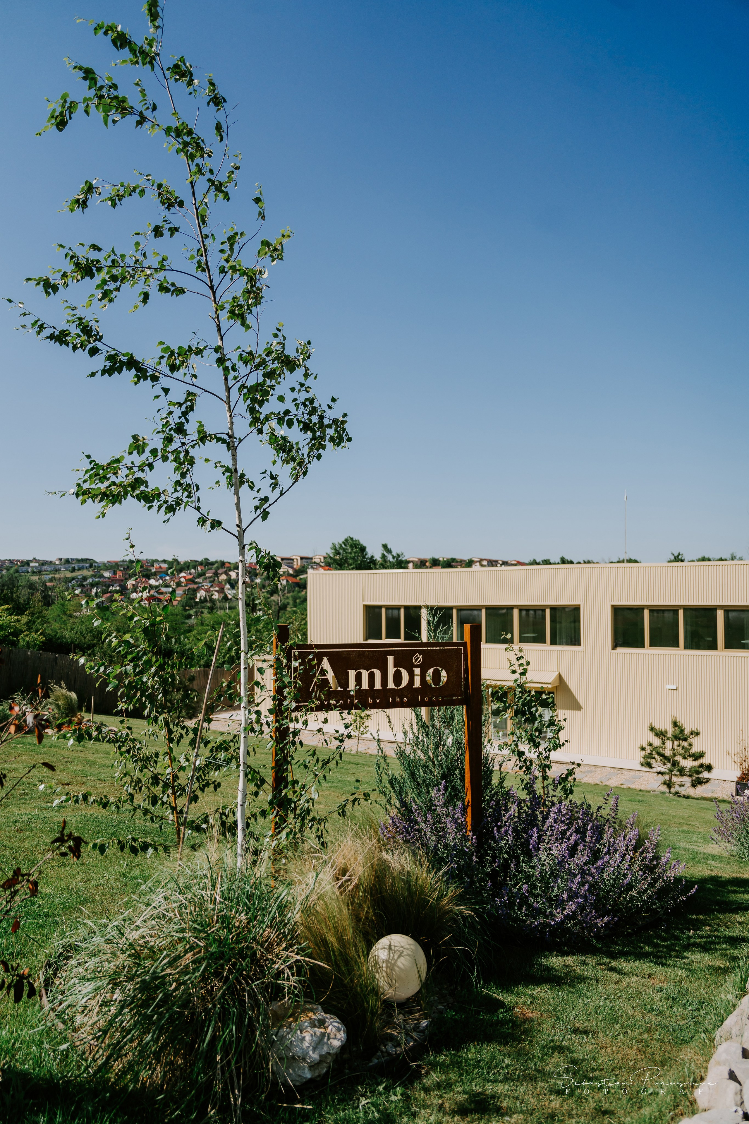 Adelina & Angel. Sebastian Purusniuc Fotograf - Iasi