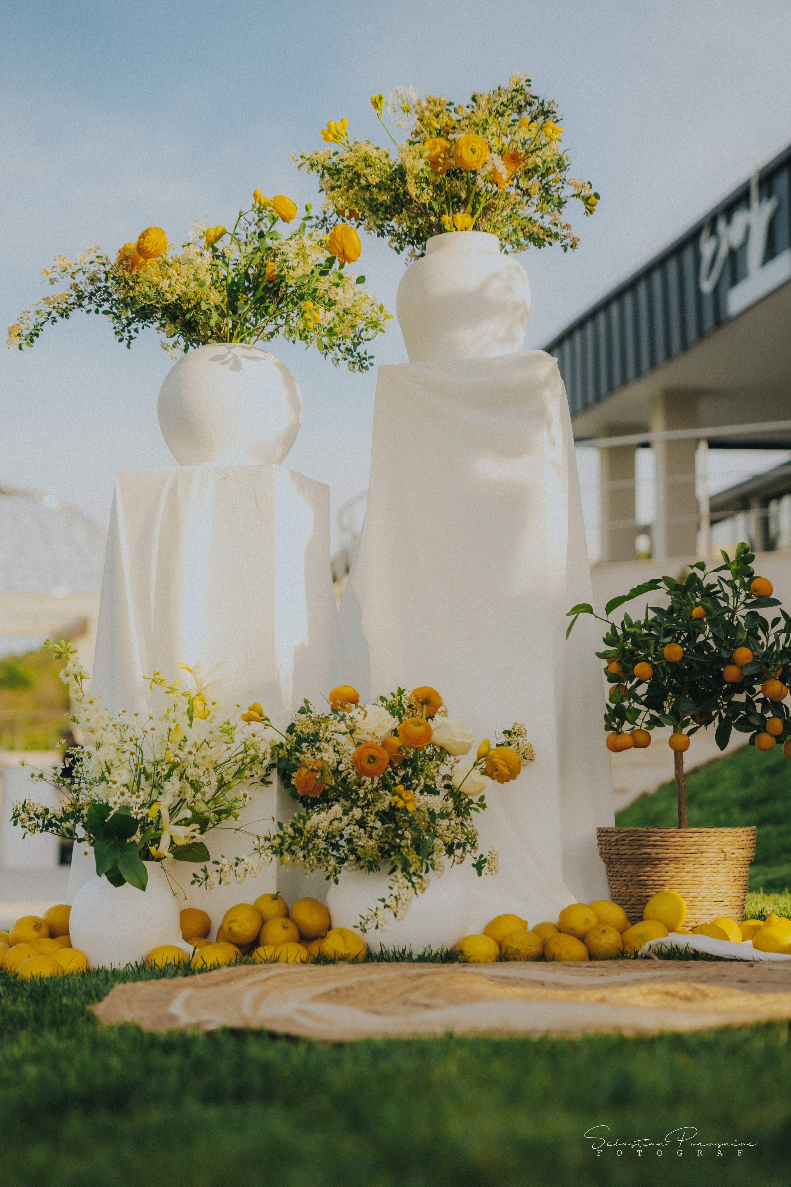 Love & Lemons. Sebastian Purusniuc Fotograf - Iasi
