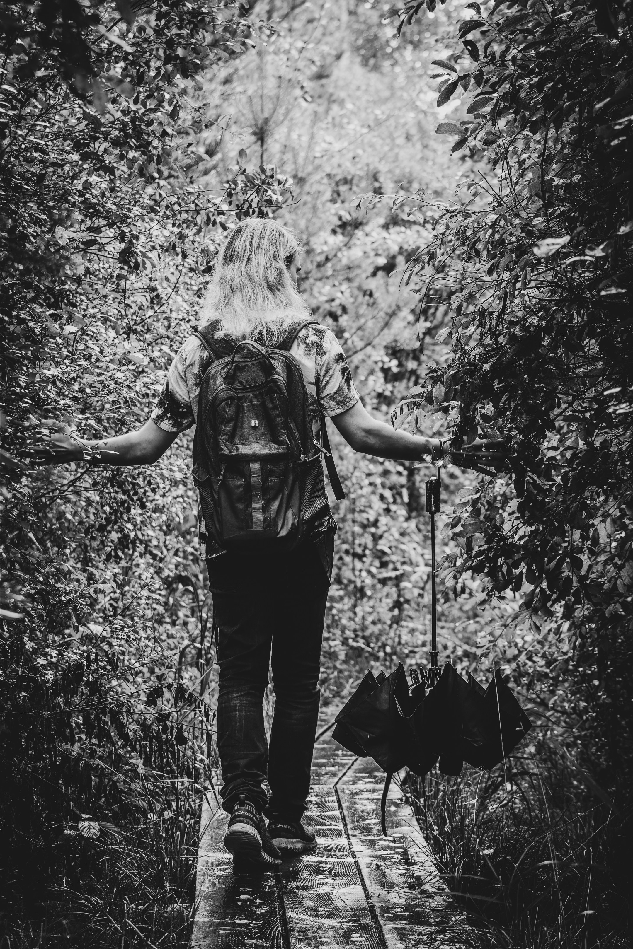 Mets, vihm ja jahedus (Dimitry). Nebula 25 — Fotod teie hingele