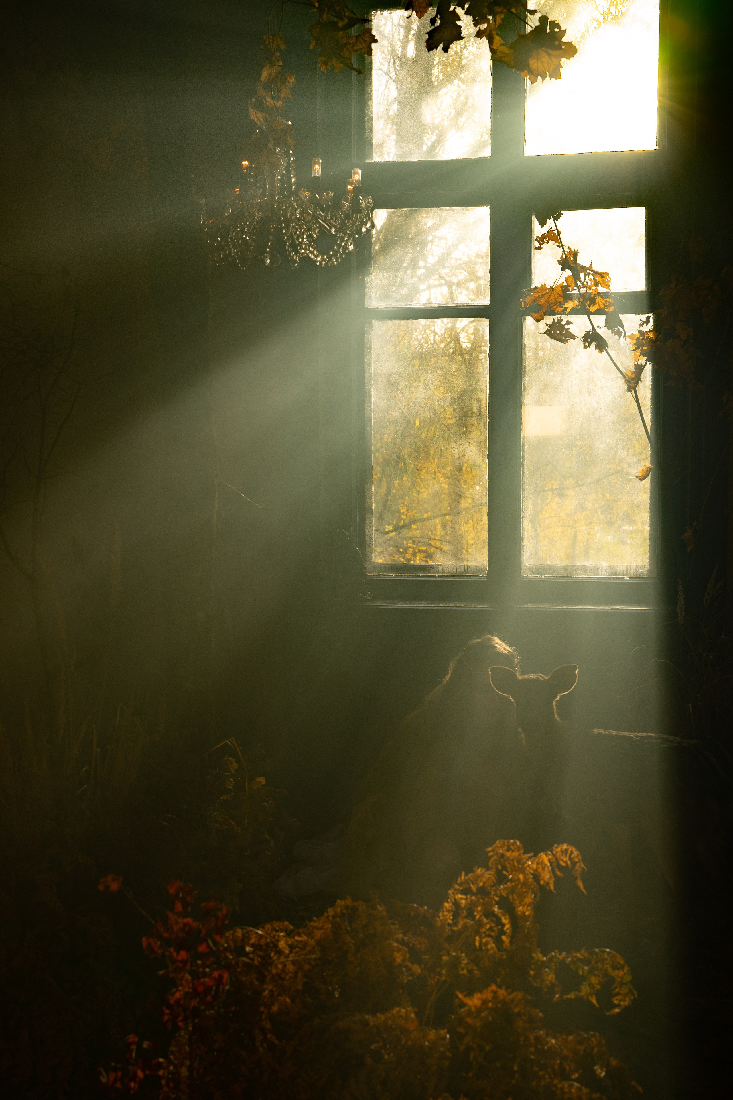 Нимфа в гламурном лесу. Ваш фотограф Tetiana Kolos, найду самый удачный ракурс и словлю момент