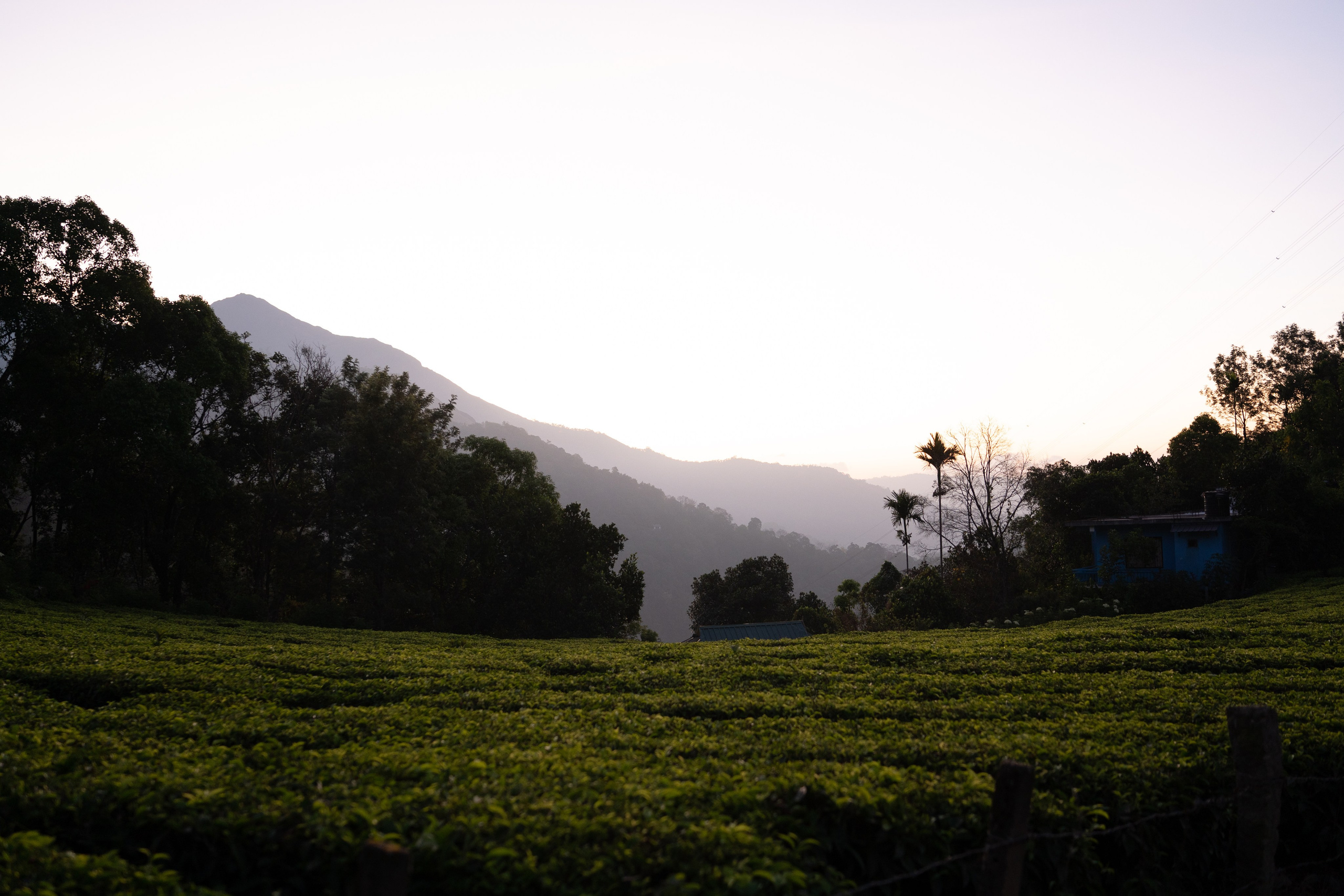 Greeshma & Vignesh. Agam Vizha