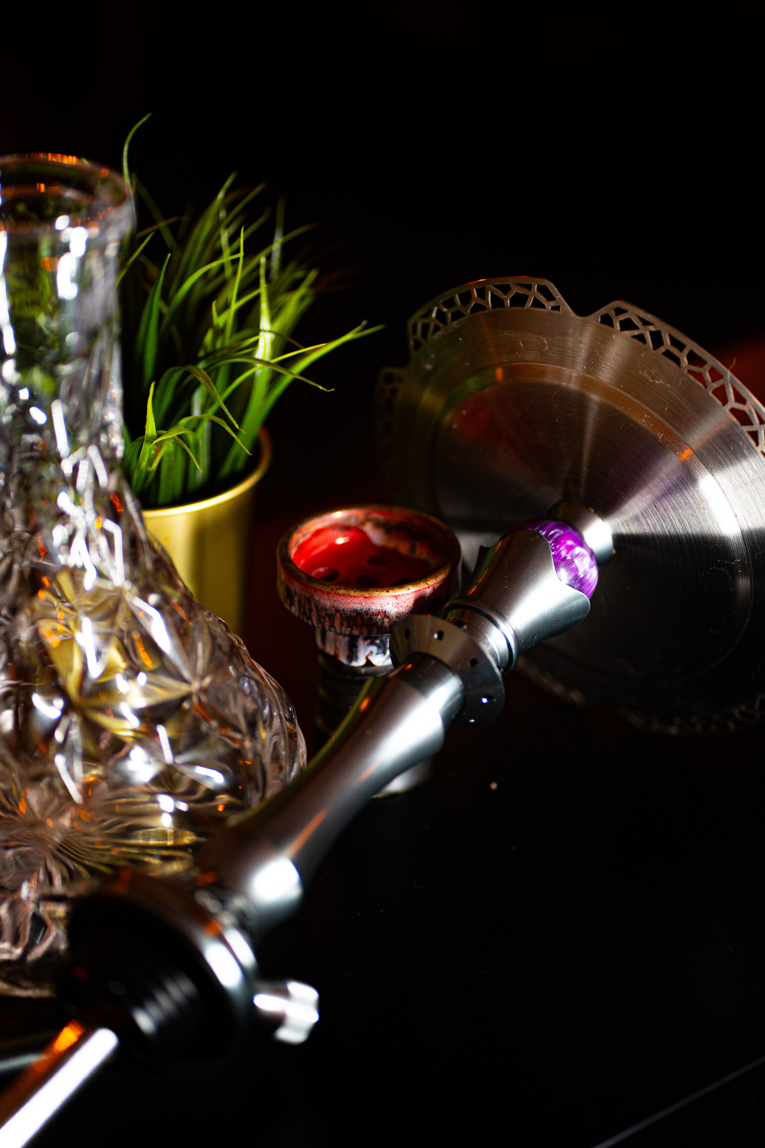 PRODUCT CONTENT. Baby Beast