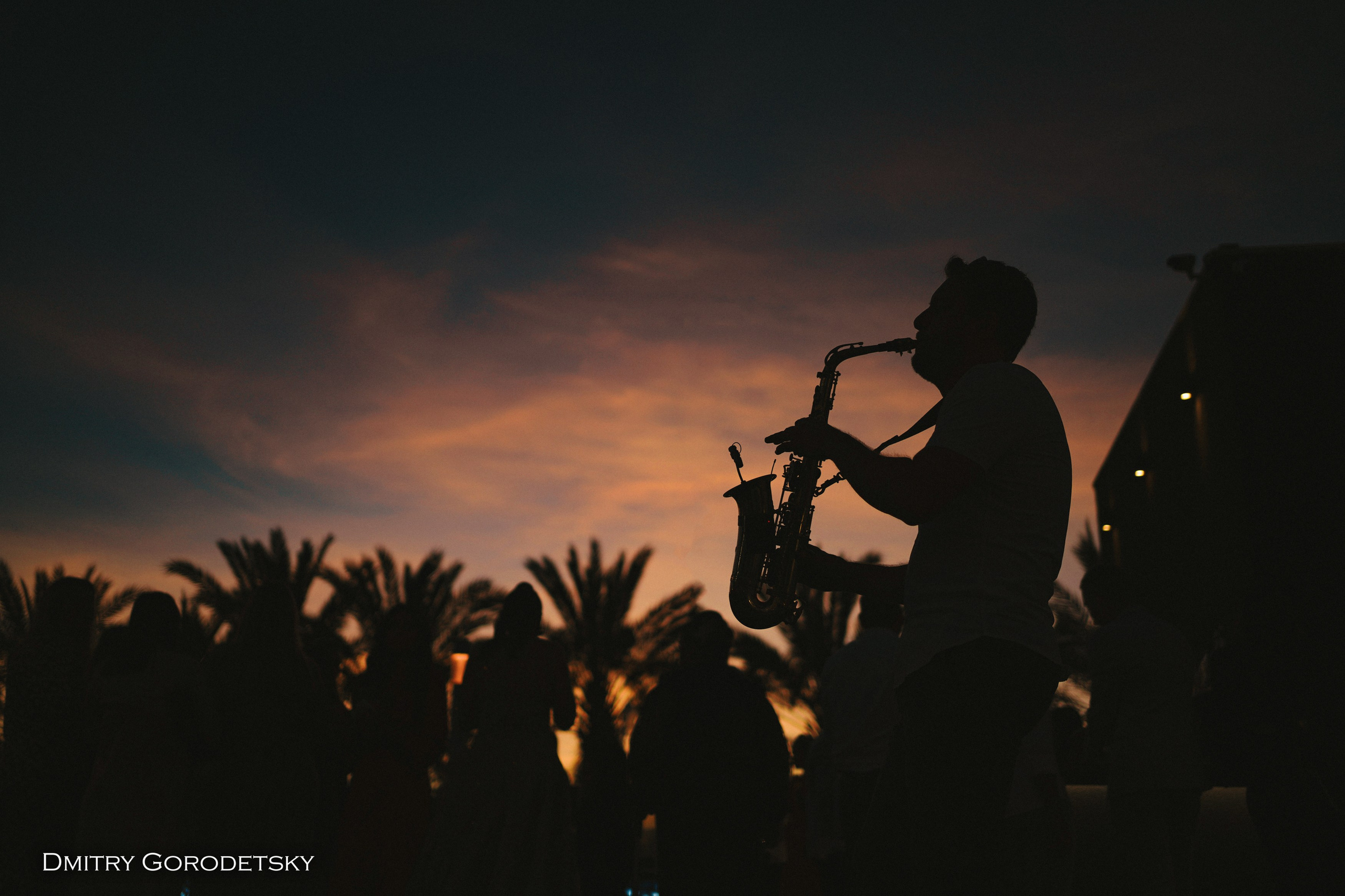 Business. Dmitry Gorodetsky Event Photographer