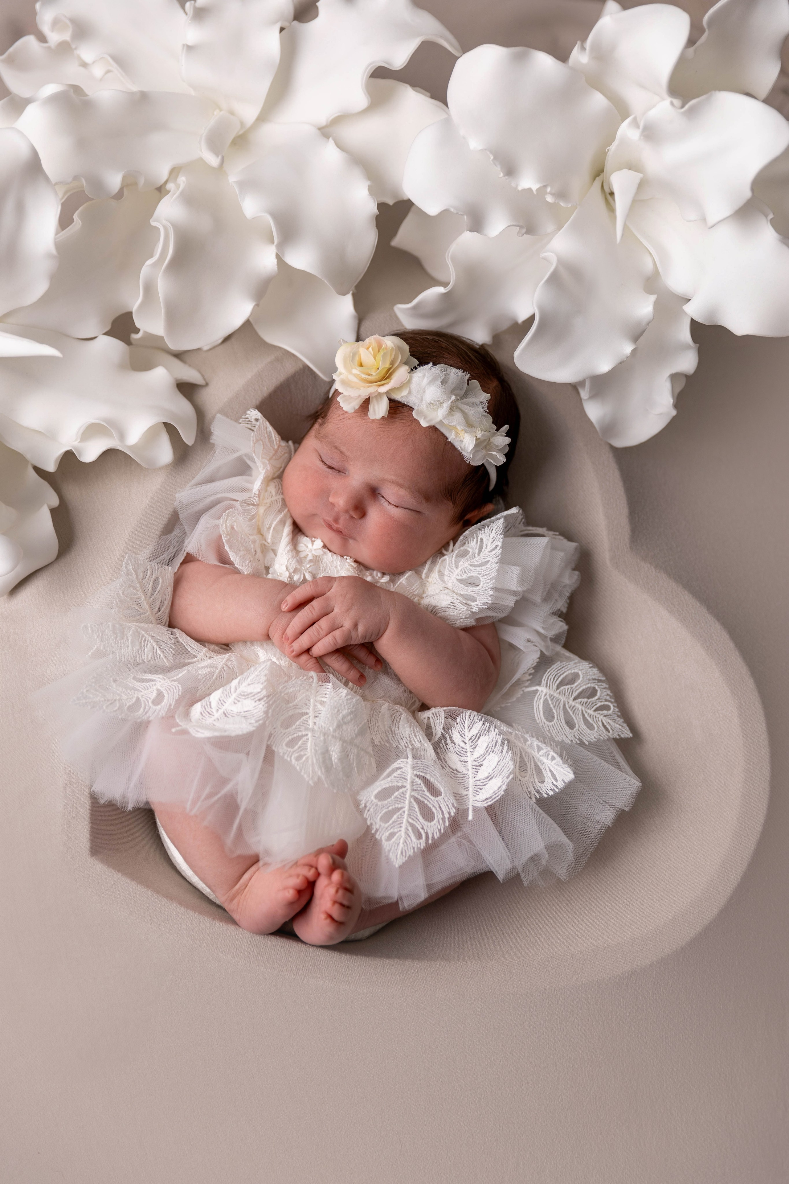 Neugeborene. Familien, Kinder und Portrait Fotografie Nürnberg Erlangen Eckental