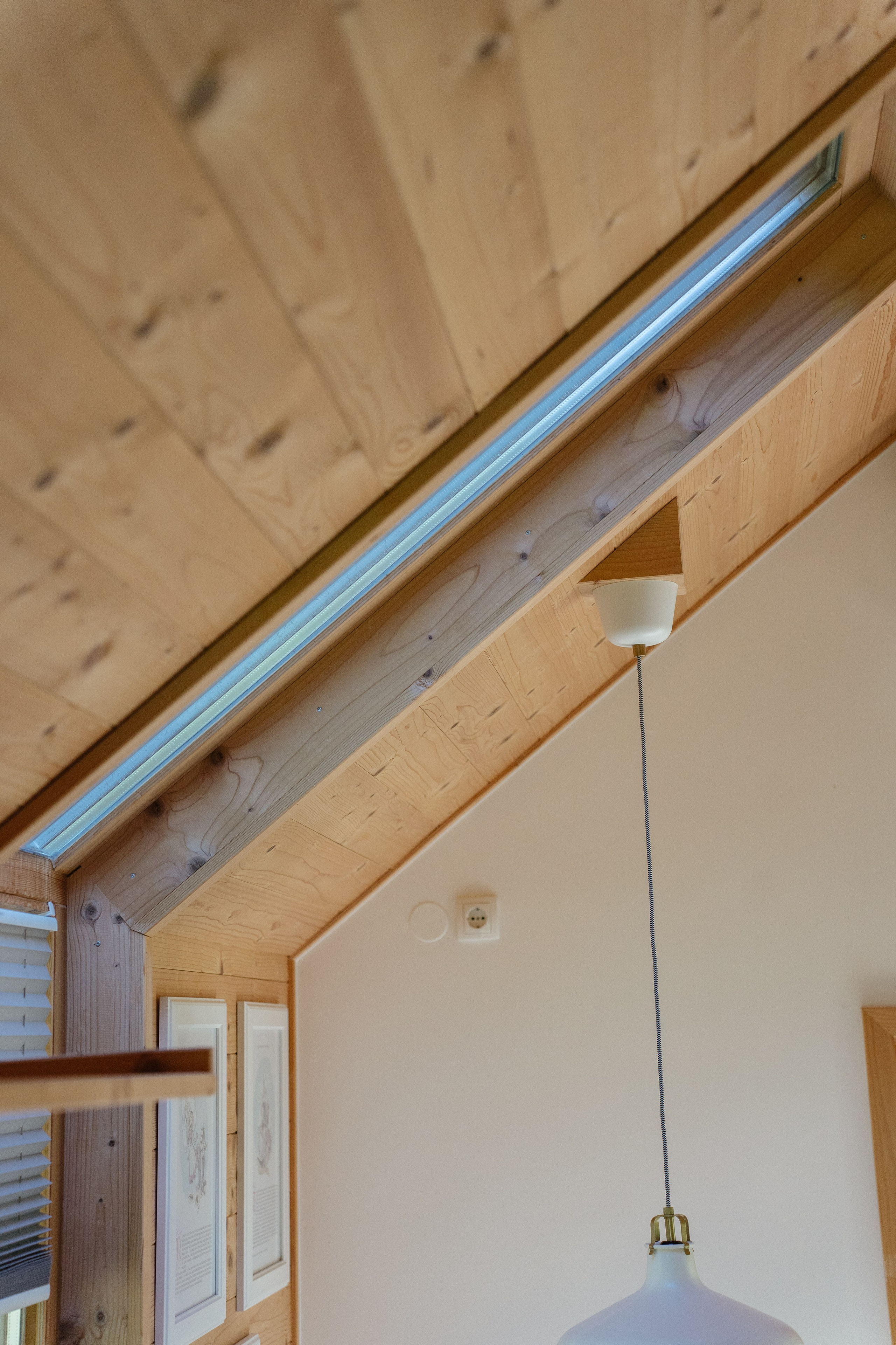 Airbnb. Patricia Morenci — Mountain Adventures for the Wild at Heart